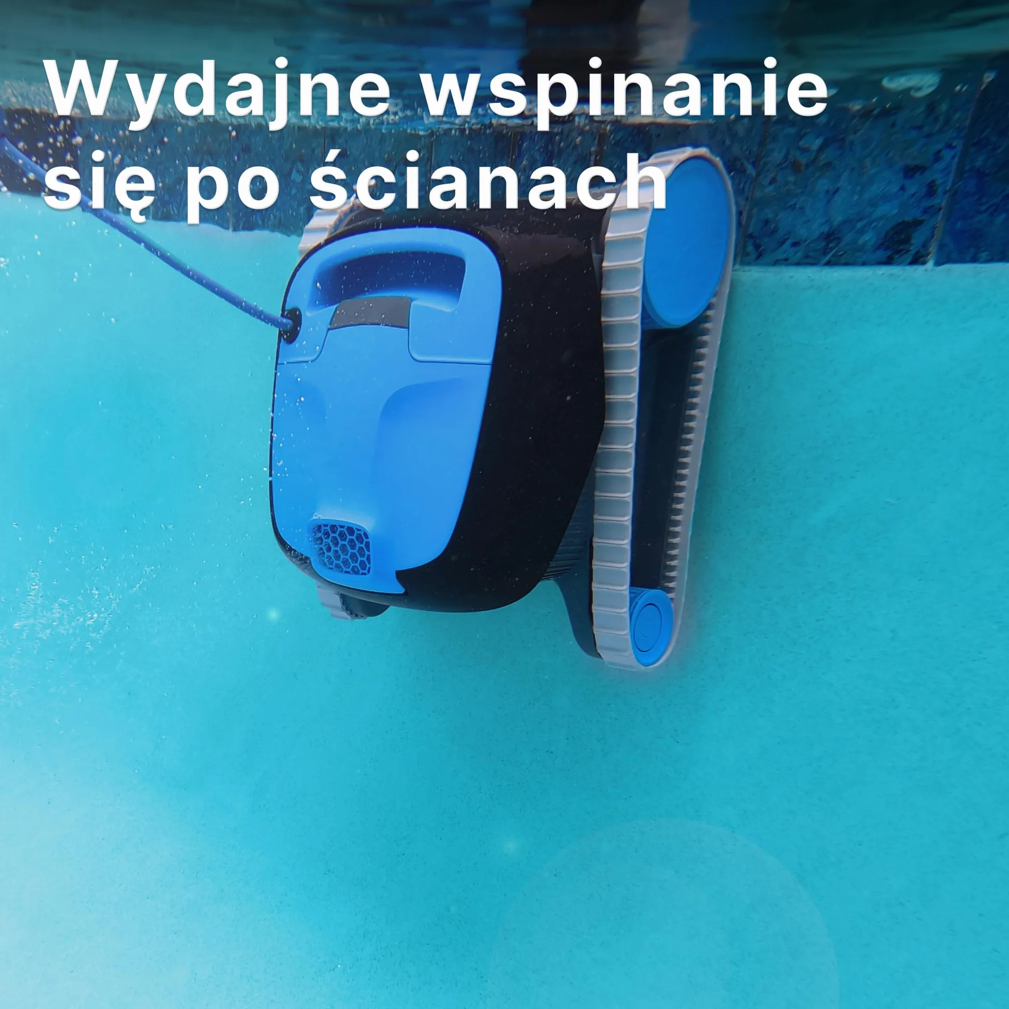 Dolphin Nautilus CC Automatyczny robot do czyszczenia basenów z kablem - czyszczenie podłóg i ścian - energooszczędny, baseny naziemne do 10 m, pielęgnacja wody