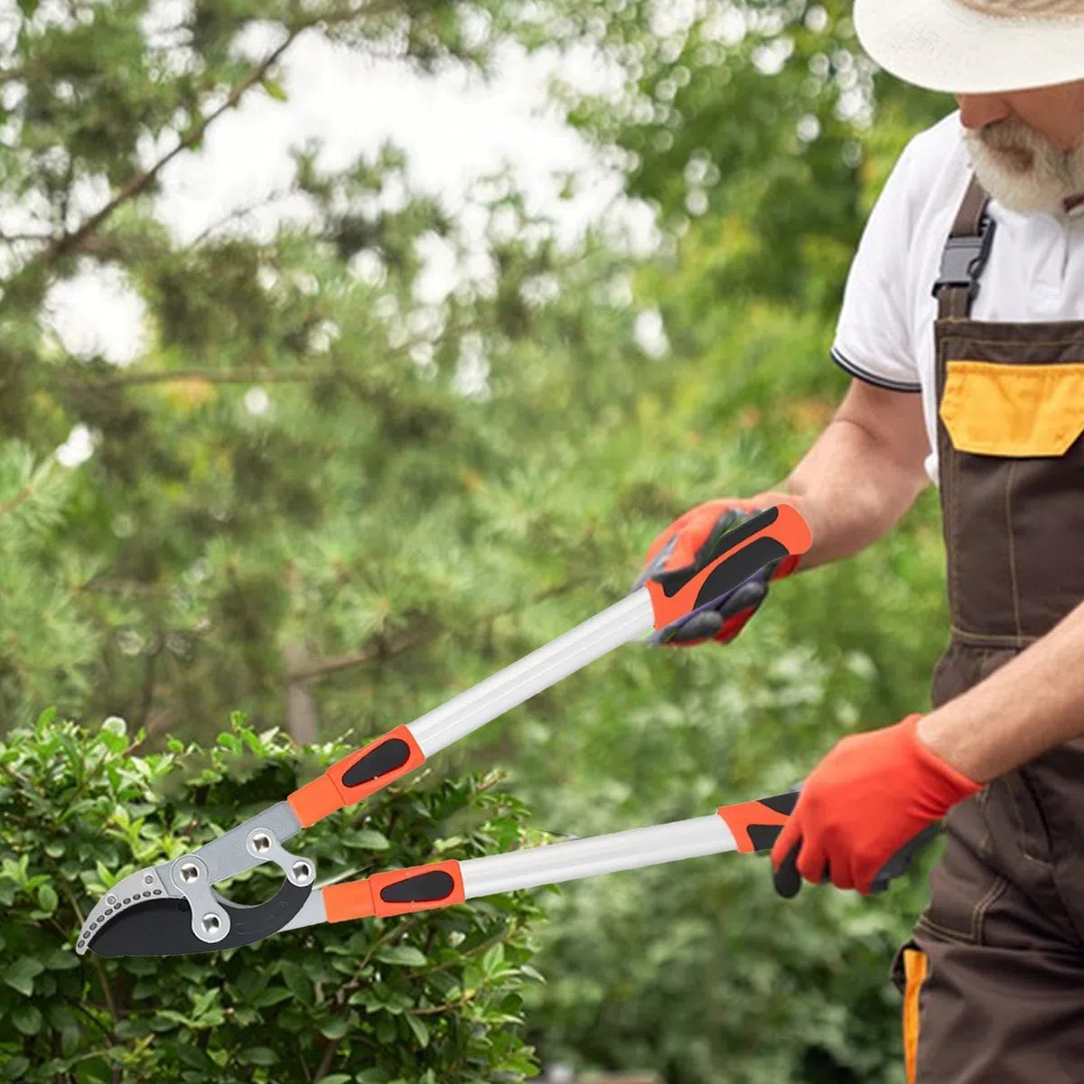Nożyce Ogrodowe Nożyce Teleskopowe Z Długą Rączką | Sekatory, Nożyczki, Narzędzia Ogrodnicze do ogrodu, na patio, trawnik, ścieżki, do przycinania drzew, krzewów, kwiatów,