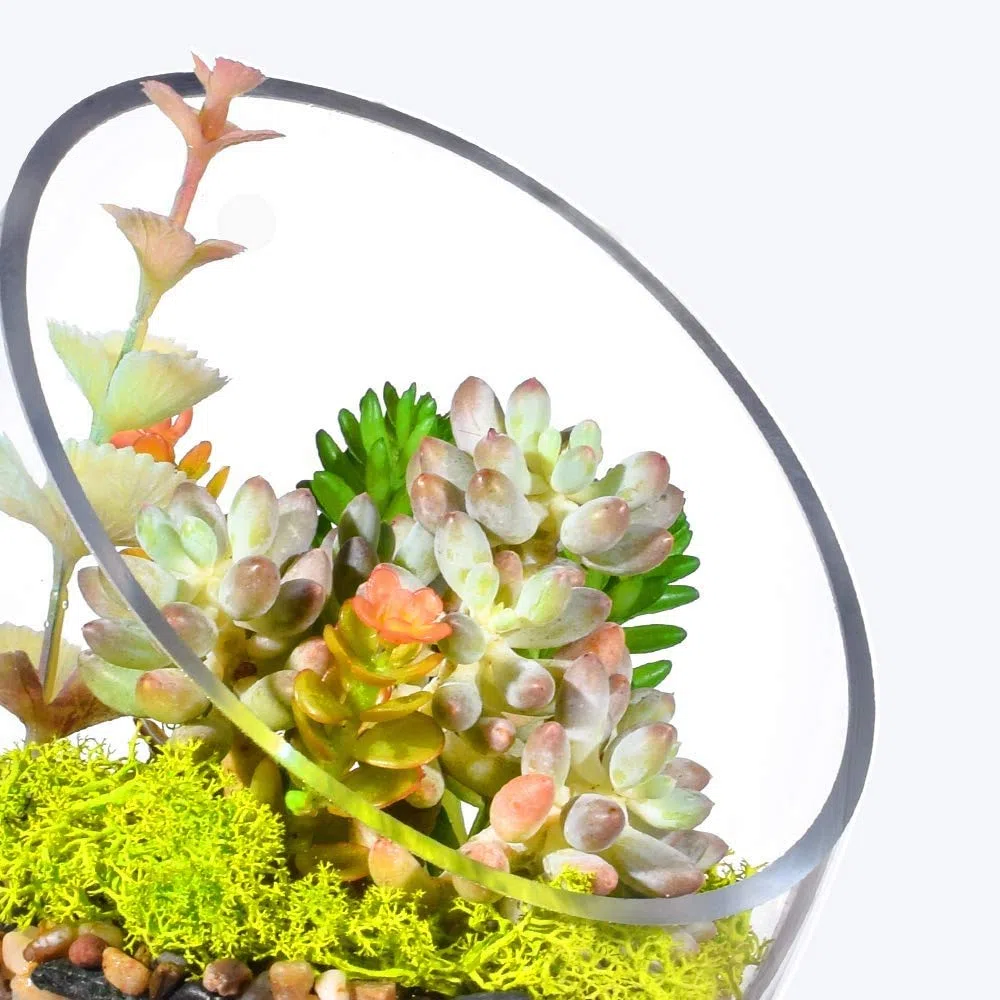 Zestaw do akwarium Przezroczysta, ukośna miska z bąbelkami, miska dla ryb i terrarium z roślinami, okrągła doniczka (7" x 5,5")