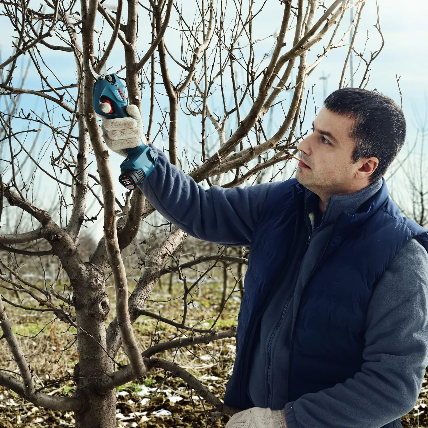 Bosch Professional system 12V: akumulatorowy sekator Pro Pruner (maks. głębokość cięcia w drewnie (gałęzie drzew) 25 mm)