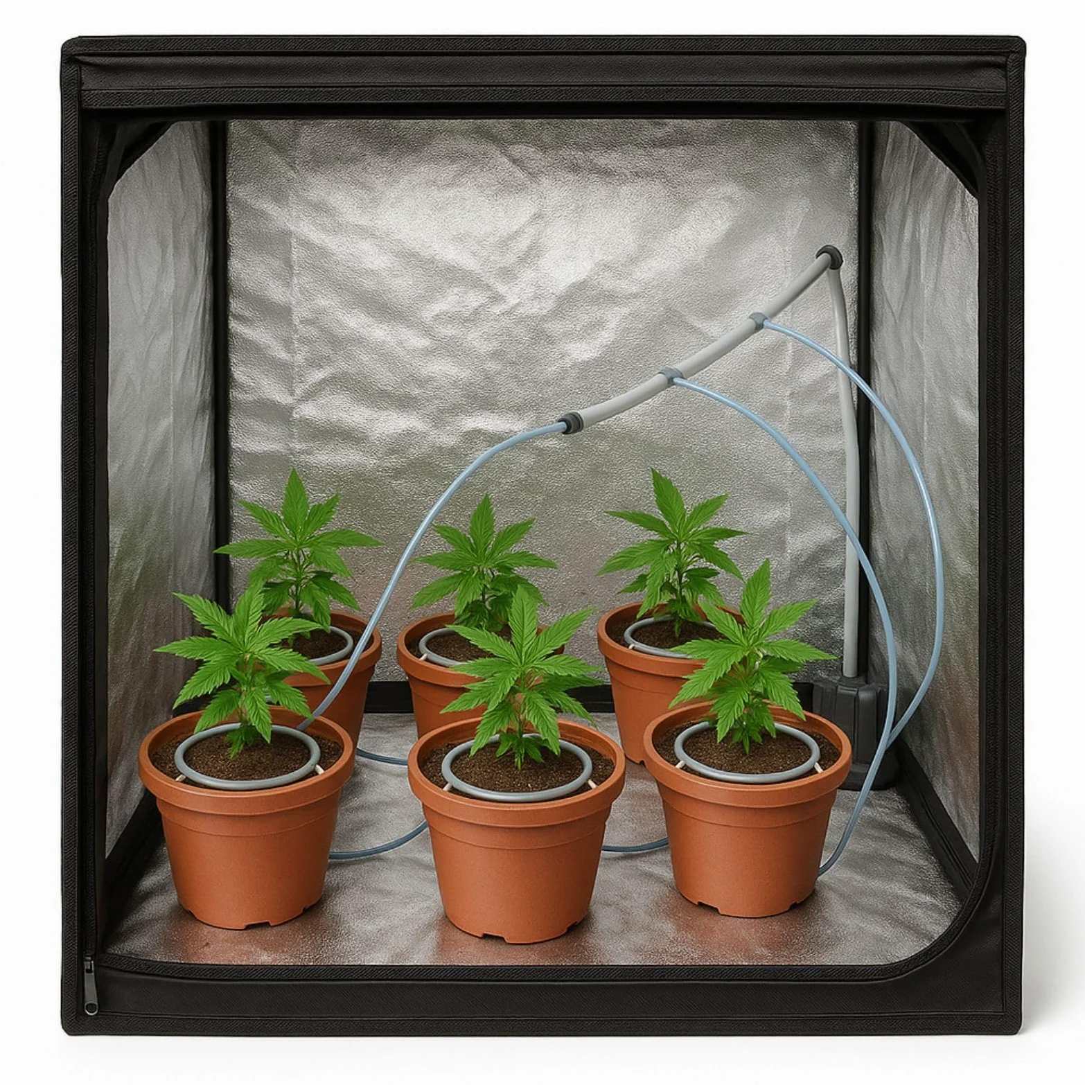 Weedness Water Master nawadnianie kroplowe, zestaw 6 sztuk, automatyczny system nawadniania, uprawa Drip Micro do użytku wewnątrz i na zewnątrz