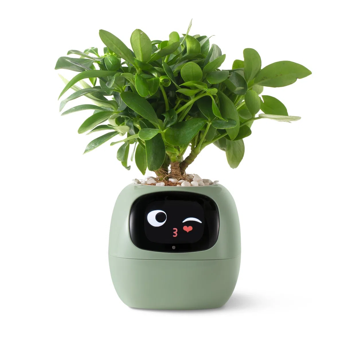 PLANTSIO Inteligentna donica dla zwierząt domowych, zasilana sztuczną inteligencją, z wytycznymi dotyczącymi pielęgnacji roślin, urocza interakcja z gestami, nowoczesny wazon dekoracyjny do sypialni i