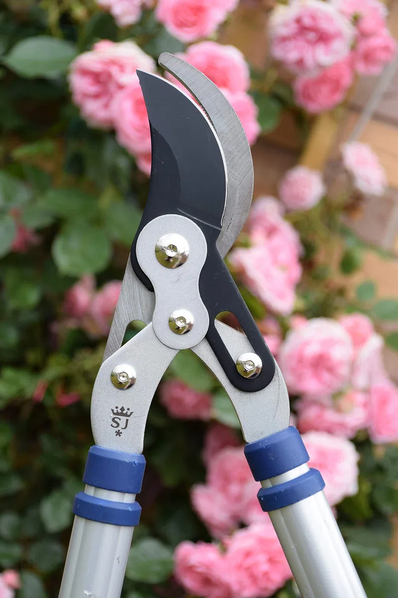 Spear & Jackson 8071RS Podwójnie złożony sekator obejściowy z teleskopowym uchwytem