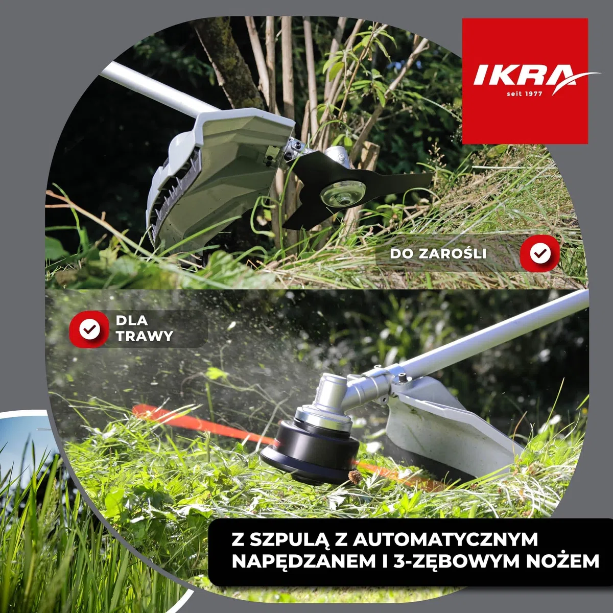 IKRA Podkaszarka spalinowa IBF 43 szeroki zestaw akcesoriów 42,7cm³ 1,1 kW | Kompletny zestaw: nóż 3-zębny, szpula, osłona, pas Profi, silnik 2-suwowy, Easy Start i uchwyt rowerowy