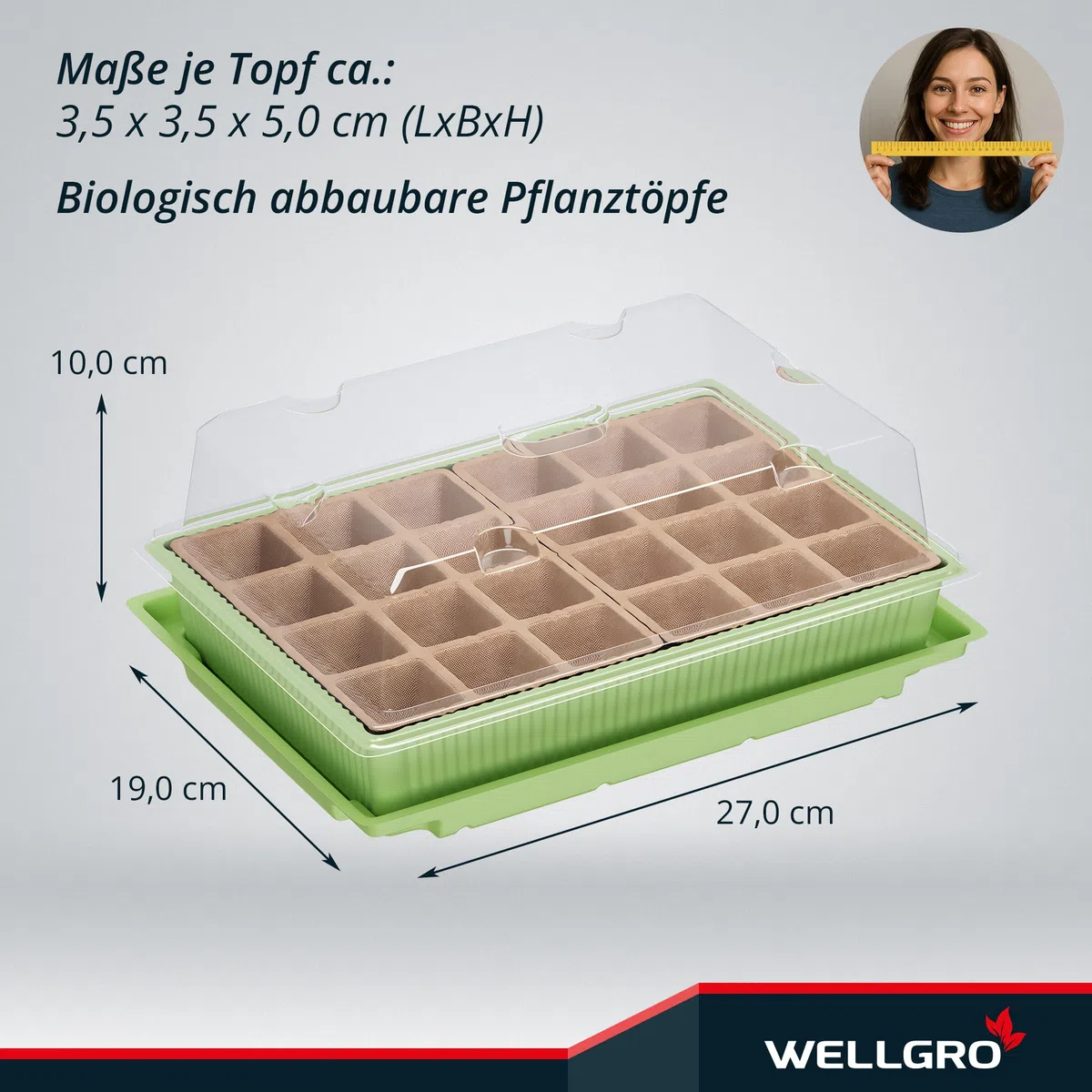 WELLGRO Mini szklarnia na 24 rośliny, ok. 27 x 19 x 10 cm (dł. x szer. x wys.), zielona/przezroczysta, tworzywo sztuczne/celuloza, ilość do wyboru, liczba sztuk: 2 sztuki
