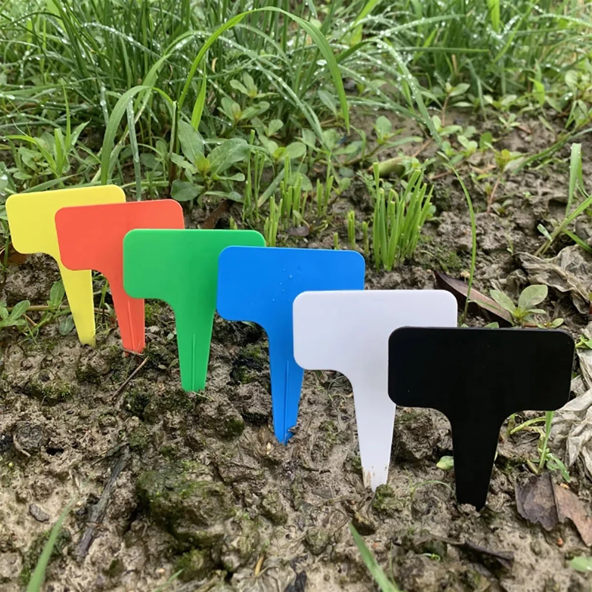 12 plastikowych etykiet na rośliny typu T | Wielokolorowe opakowanie 12 sztuk, 10x6 cm, wytrzymałe, wodoodporne, do markerów ogrodowych(White)