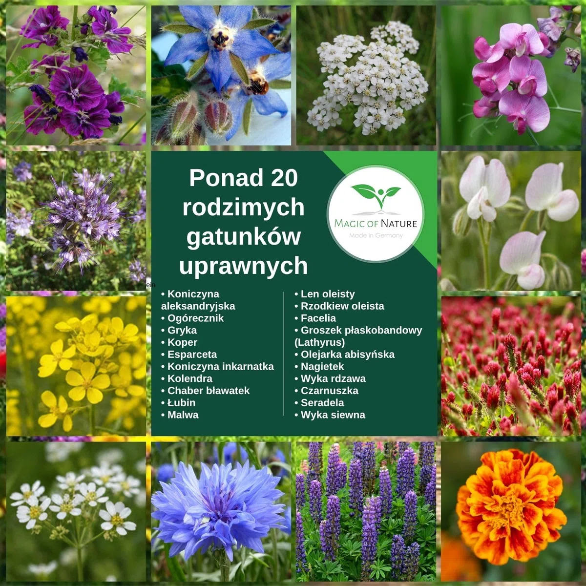 Magic of Nature 2,5kg Mieszanka Nasion Kwiatów - Raj dla Pszczół - Łąka Kwietna Miododajna - Ponad 20 Odmian na Powierzchnię 750-1250 m²
