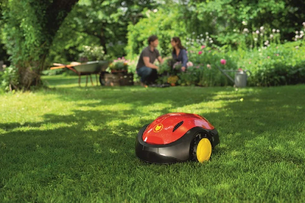 Wolf Garten Robo Spezial 3827045 Mieszanka Trawnikowa, 17.5 x 12 x 31 cm