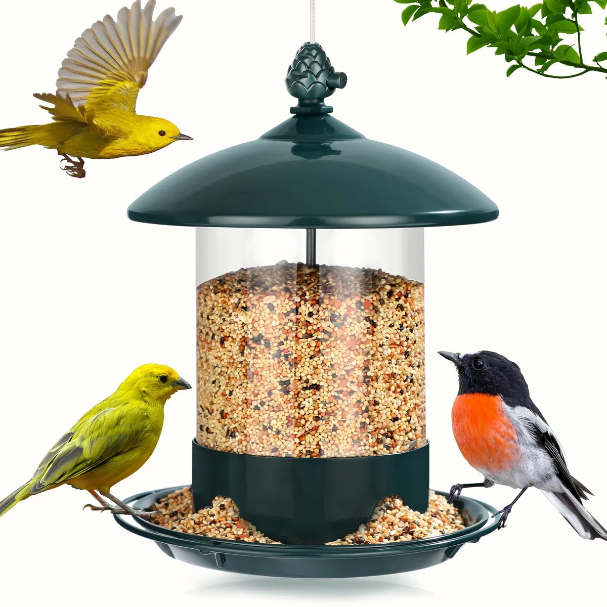Gbekery Metalowe karmniki dla ptaków do zawieszenia na zewnątrz, pojemność 0,8 kg, odporne na warunki atmosferyczne, karmnik dla dzikich ptaków z tacą do karmienia 360 stopni, zielone