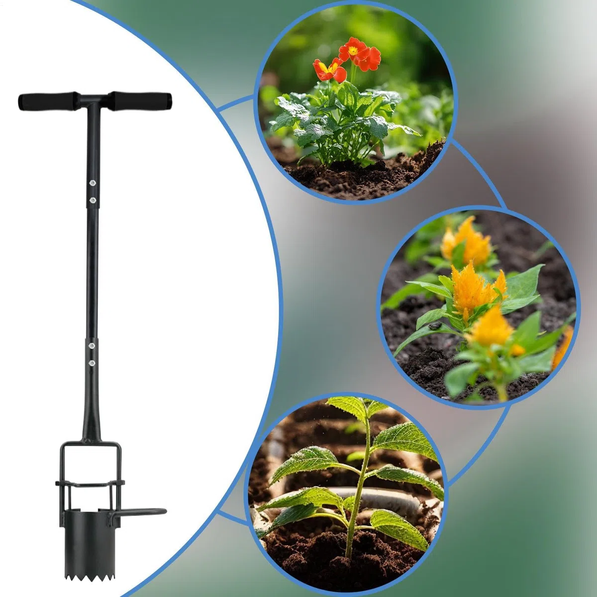 Sadzarka do cebulek Wytrzymałe narzędzie do przesadzania z ergonomicznym | Narzędzie ogrodowe do kopania dołków Do sadzenia ziemniaków, kwiatów, tulipanów i lilii, kopania gleby, prac w o
