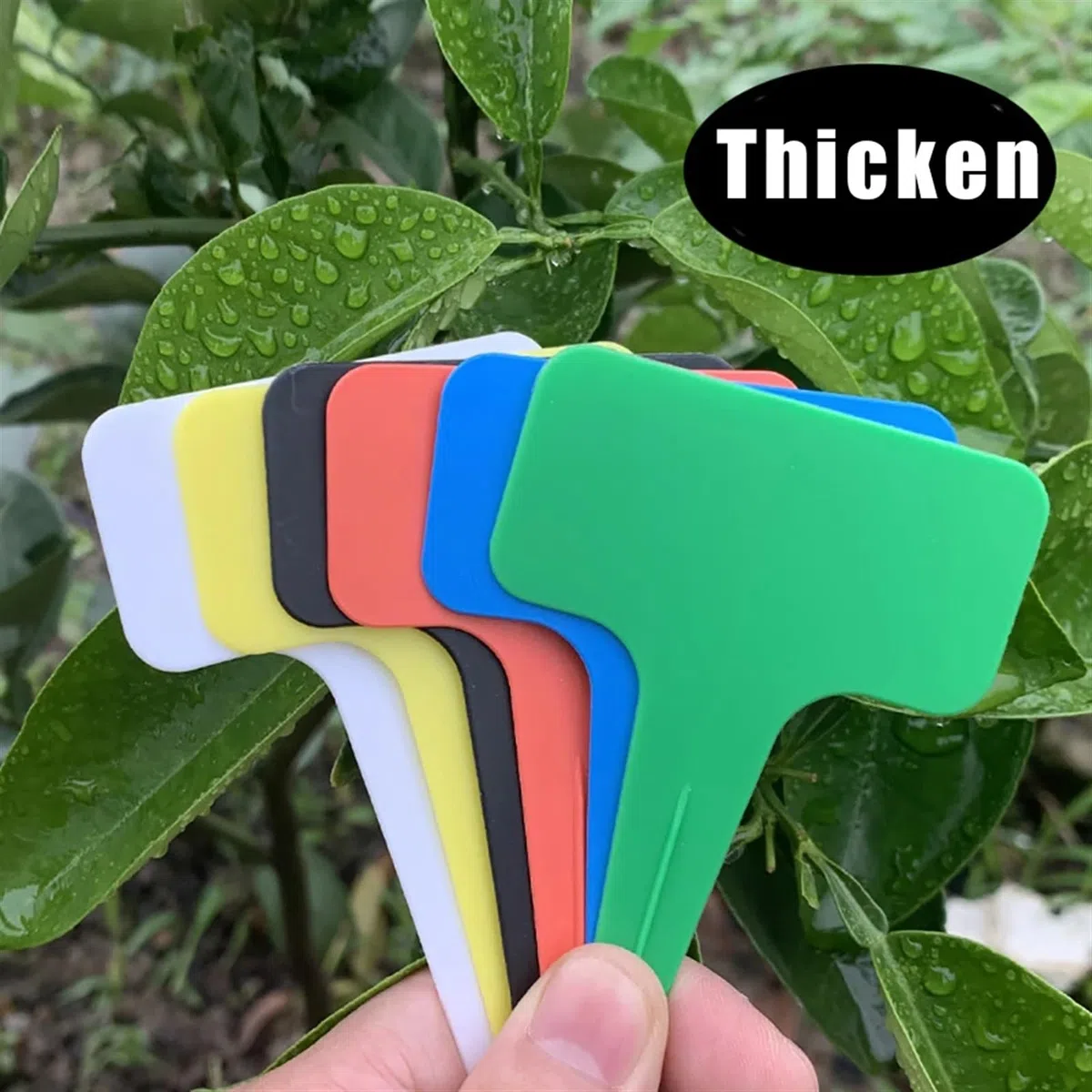 12 plastikowych etykiet na rośliny typu T | Wielokolorowe opakowanie 12 sztuk, 10x6 cm, wytrzymałe, wodoodporne, do markerów ogrodowych(White)