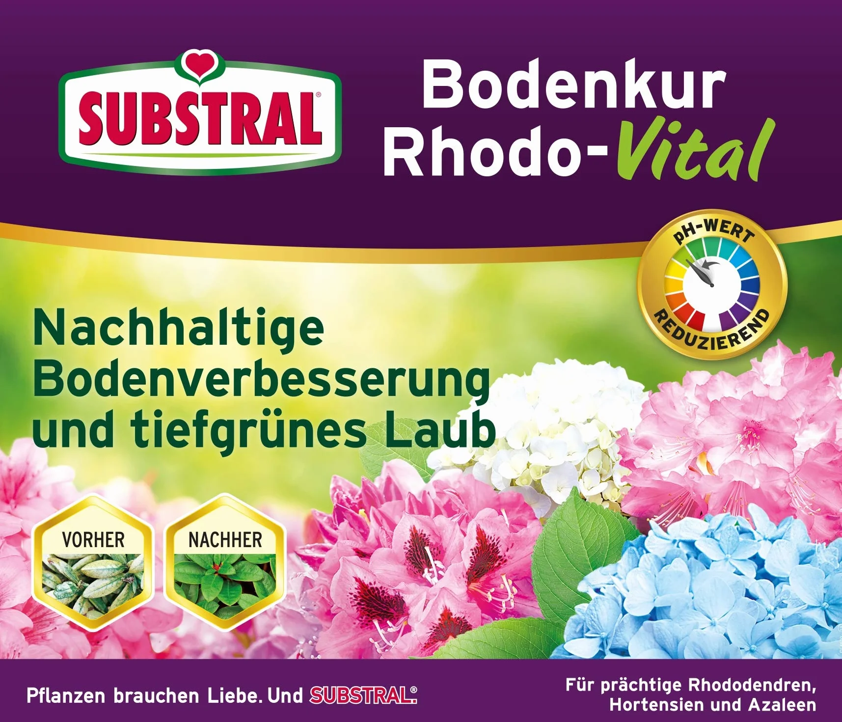 Substral Kuracja podłogowa Rhodo-Vital – 1 kg