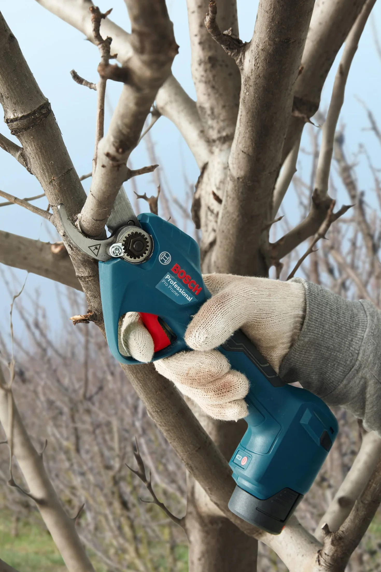 Bosch Professional system 12V: akumulatorowy sekator Pro Pruner (maks. głębokość cięcia w drewnie (gałęzie drzew) 25 mm)