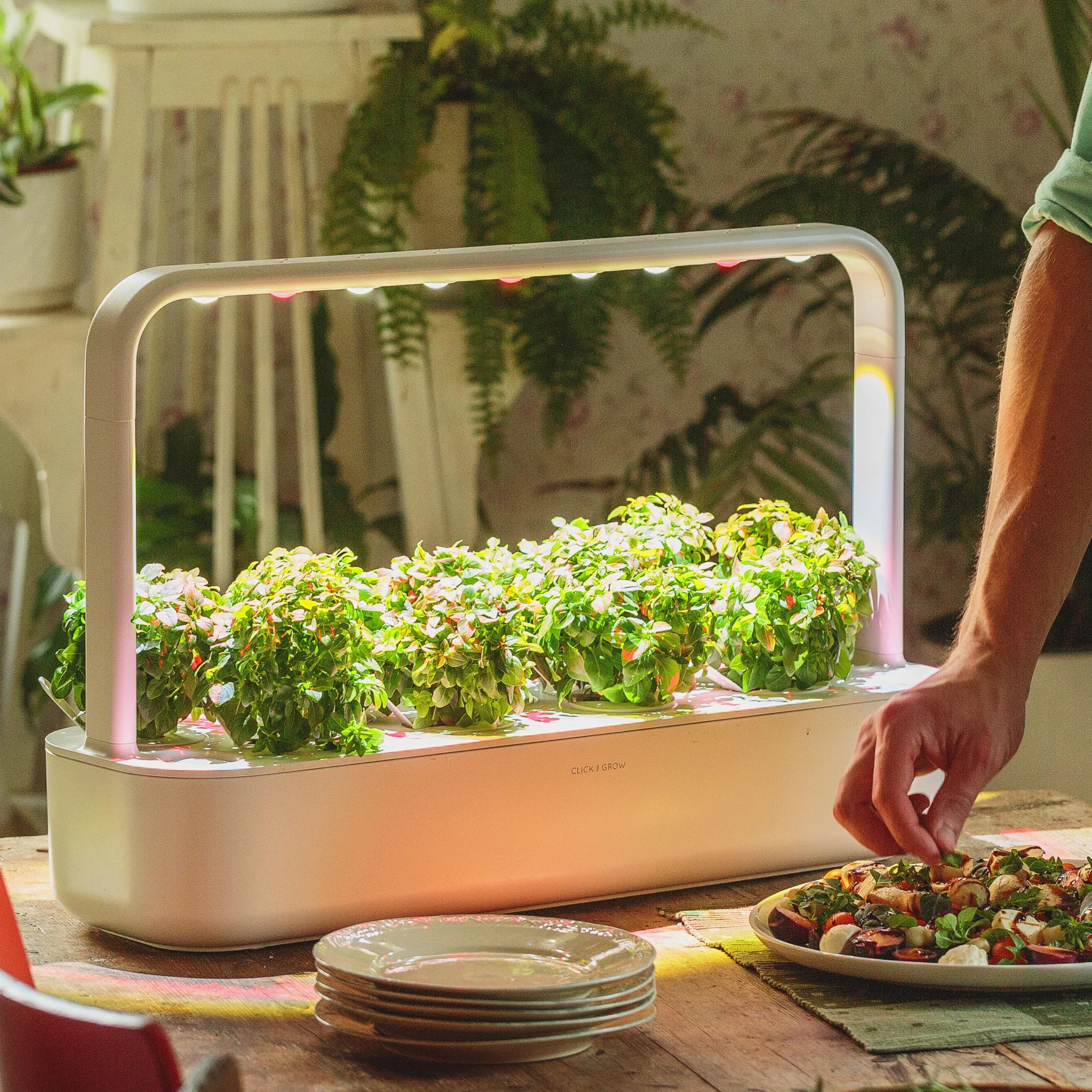Click and Grow wewnętrzny ogród, prostszy niż hydroponiczny system uprawy, Smart Garden z diodami LED, ogród ziołowy, szklarnia wewnętrzna z 9 kapsułami (biała)