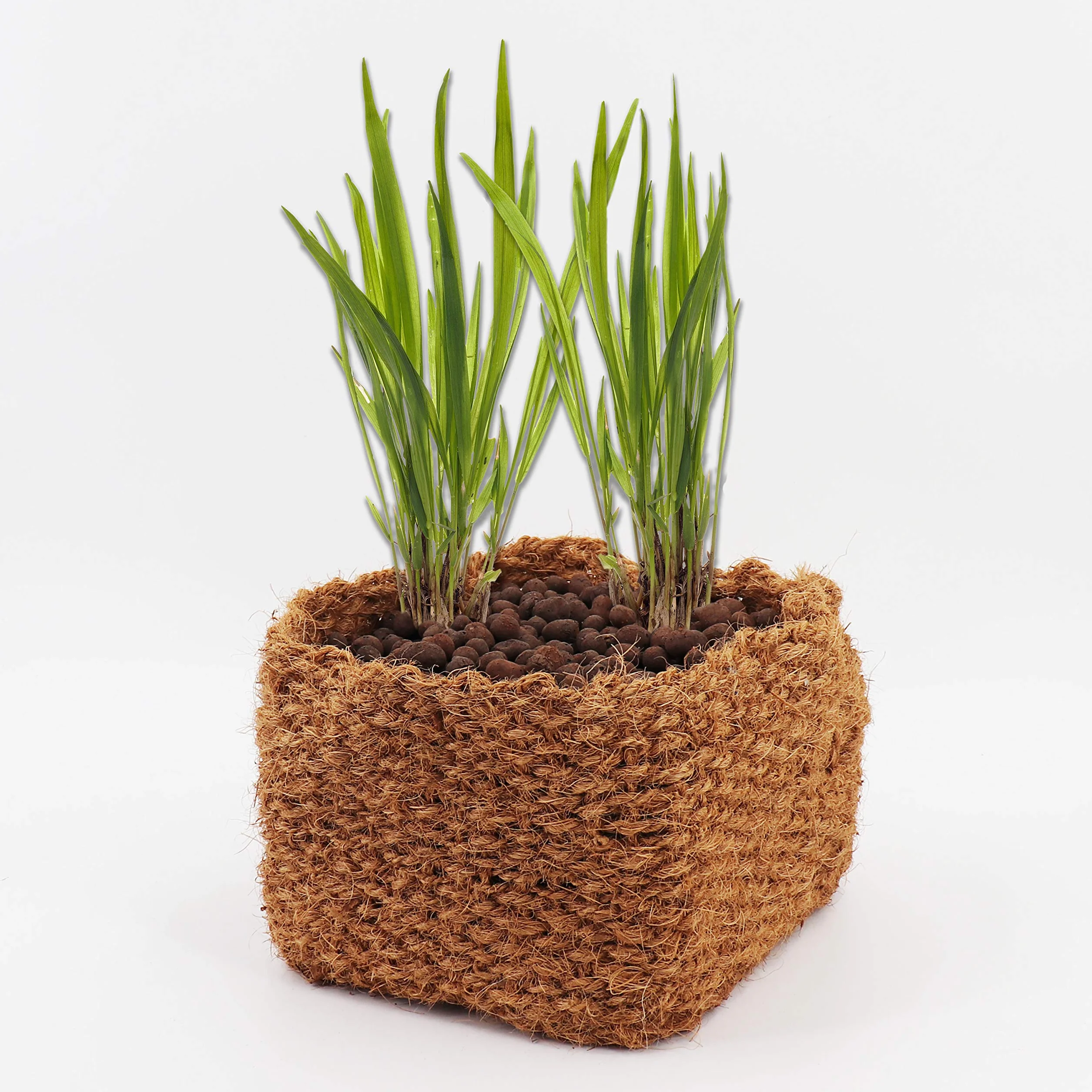 Aquagart Kokosowy kosz na rośliny do stawu 20cm x 20cm x 15cm 6 szt. brązowy