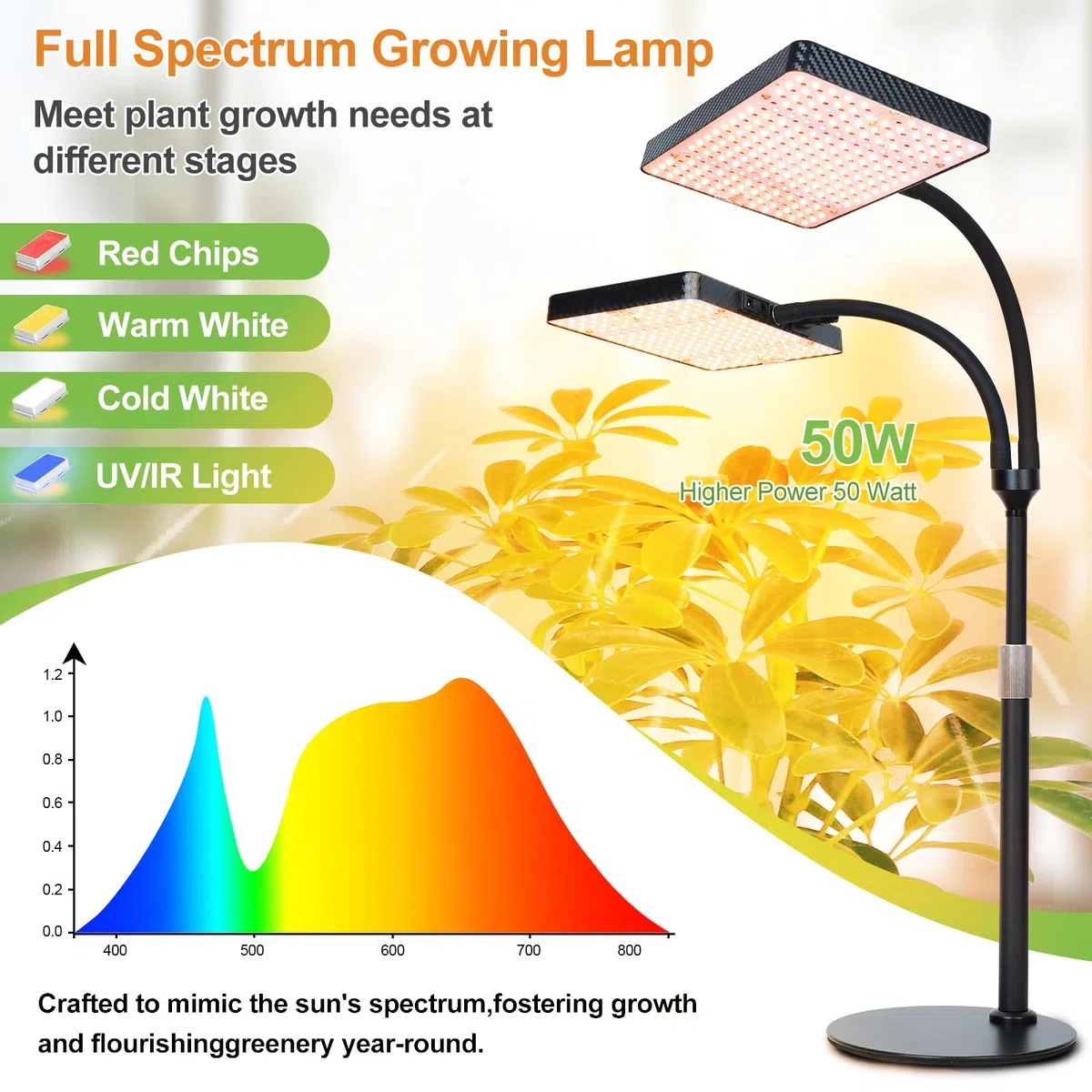 FECiDA 50 W, 2-głowicowa, pełne spektrum, lampa do roślin z programatorem czasowym do roślin pokojowych, lampa do uprawy roślin pokojowych, z lampami do uprawy kwiatów, warzyw z timerem 4/8/12/16/20 h