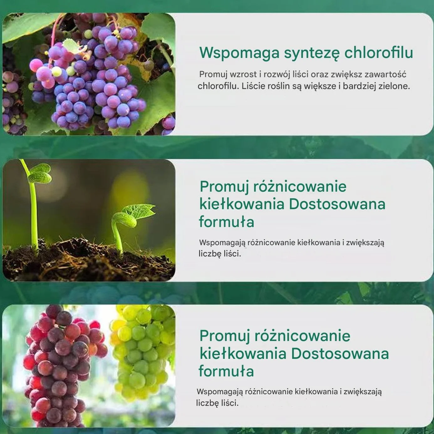 Nawóz Do Winogron - Naturalny Odżywka Roślinna Do Winorośli - Organiczny Środek Wspomagający Poprawiający Odżywianie, Dokarmiający Korzenie, Liście I Gleby, Do Użytku W Pomieszczeniach I Na Zewnątrz