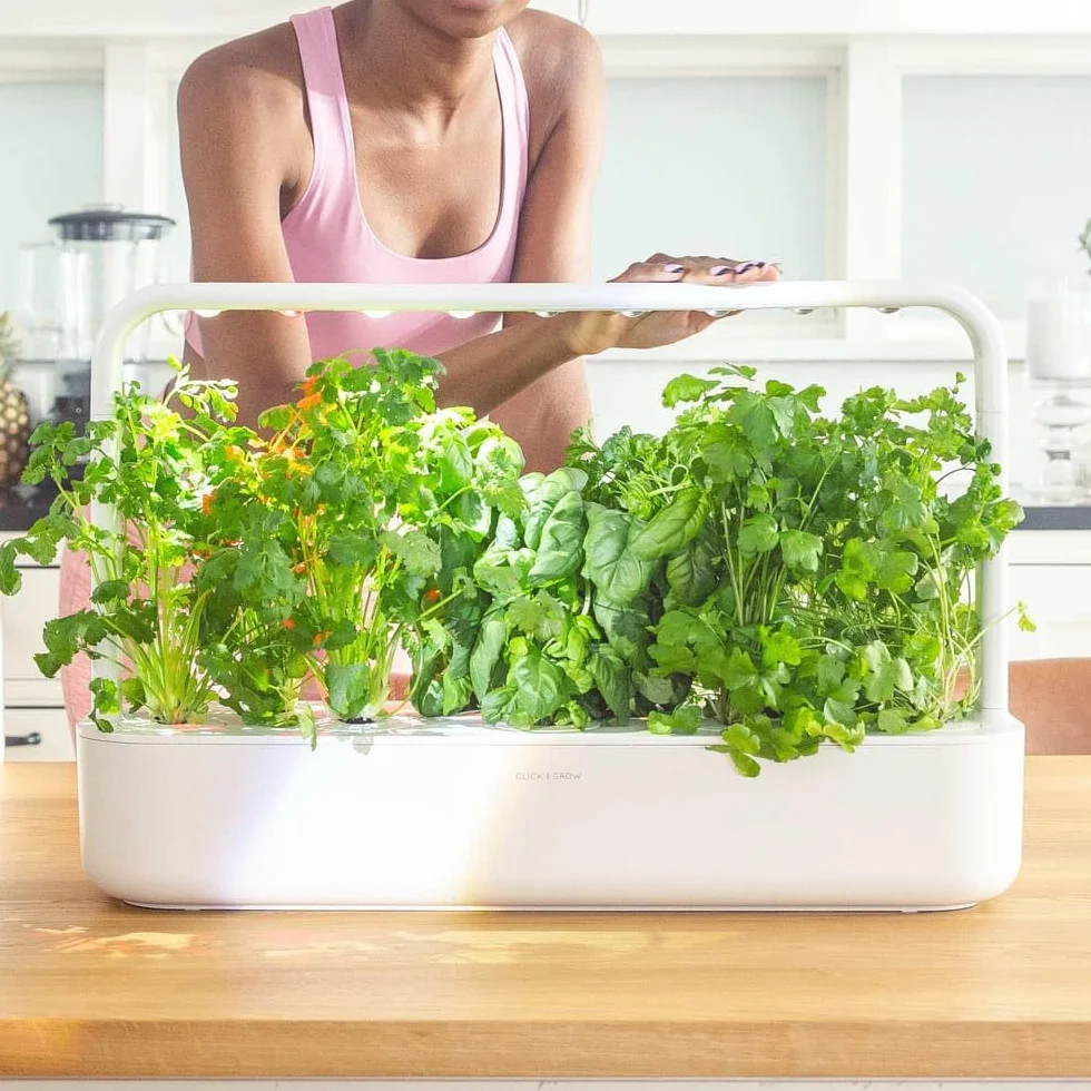 Click and Grow 9 Pro Zestaw ogrodów wewnętrznych z oświetleniem do uprawy roślin | Łatwy niż system uprawy hydroponiki | Inteligentny ogród do domowej kuchni parapet | Zestaw startowy do ogrodu