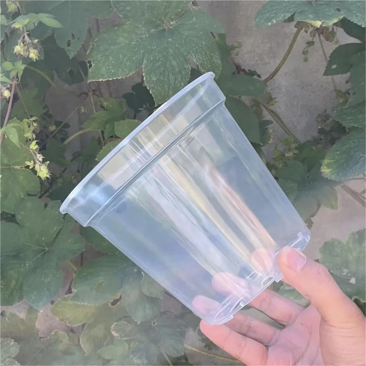 Przezroczyste doniczki z tworzywa sztucznego, Przezroczyste plastikowe doniczki na rośliny opakowanie w wielu rozmiarach po 6 sztuk dla storczyków roślin doniczkowych(23x16.3x21)
