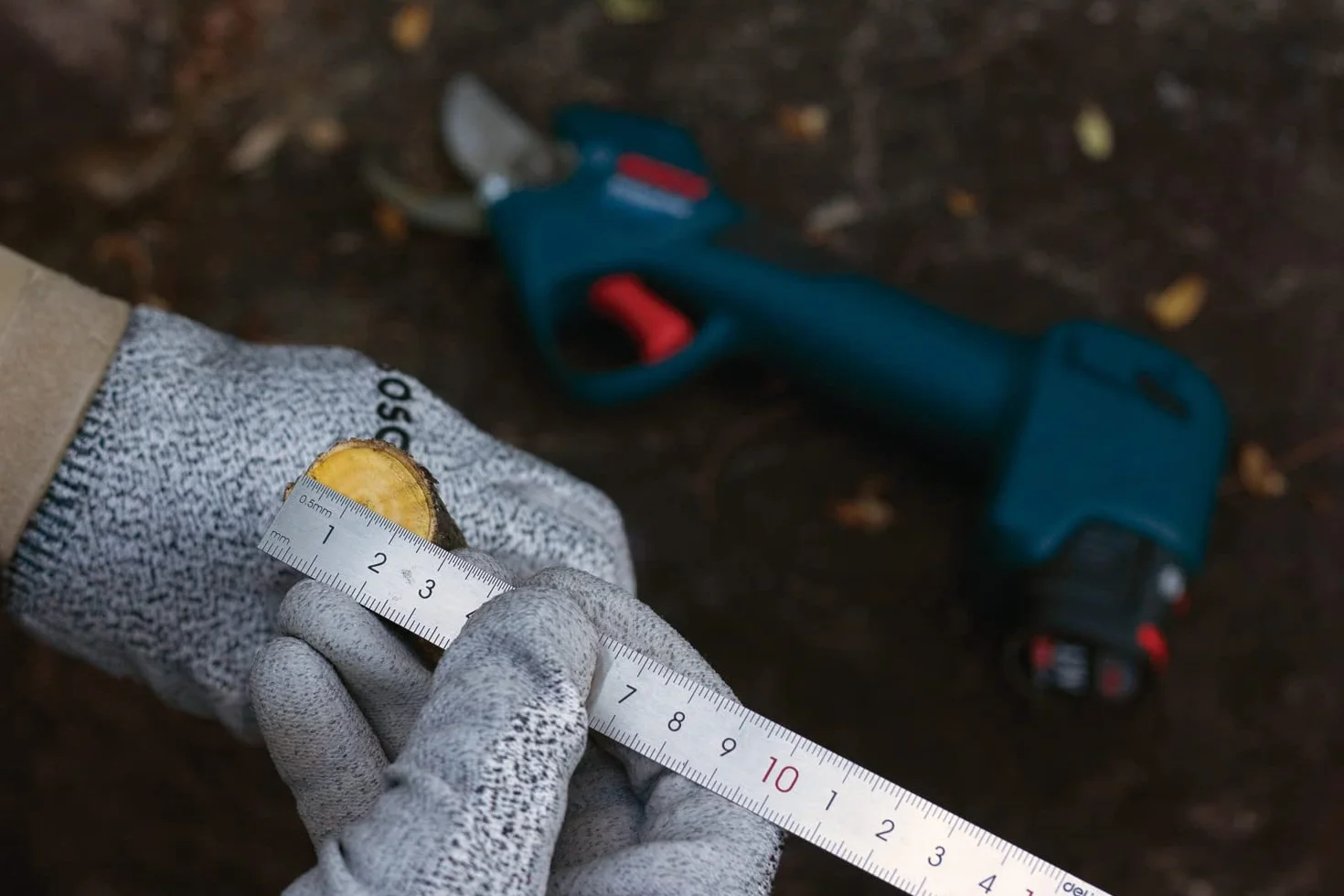 Bosch Professional system 12V: akumulatorowy sekator Pro Pruner (maks. głębokość cięcia w drewnie (gałęzie drzew) 25 mm)