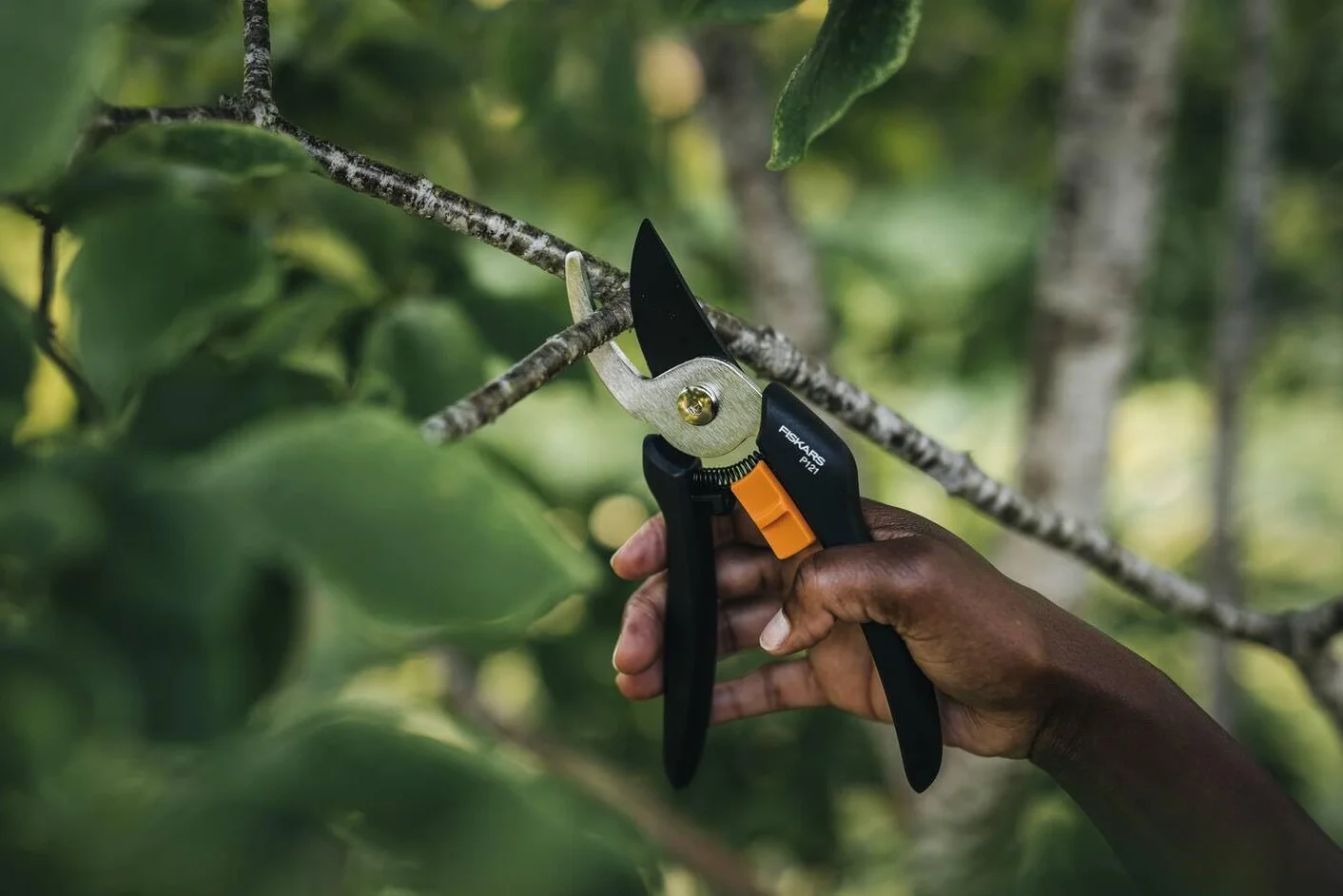 Fiskars Zestaw narzędzi ogrodowych, 4-częściowy, wycinak do chwastów Xact, długość: 1 m, motyka kombi Solid, długość: 28 cm, łopatka do kwiatów Solid, długość: 28 cm, sekator obejściowy Solid P121, 1