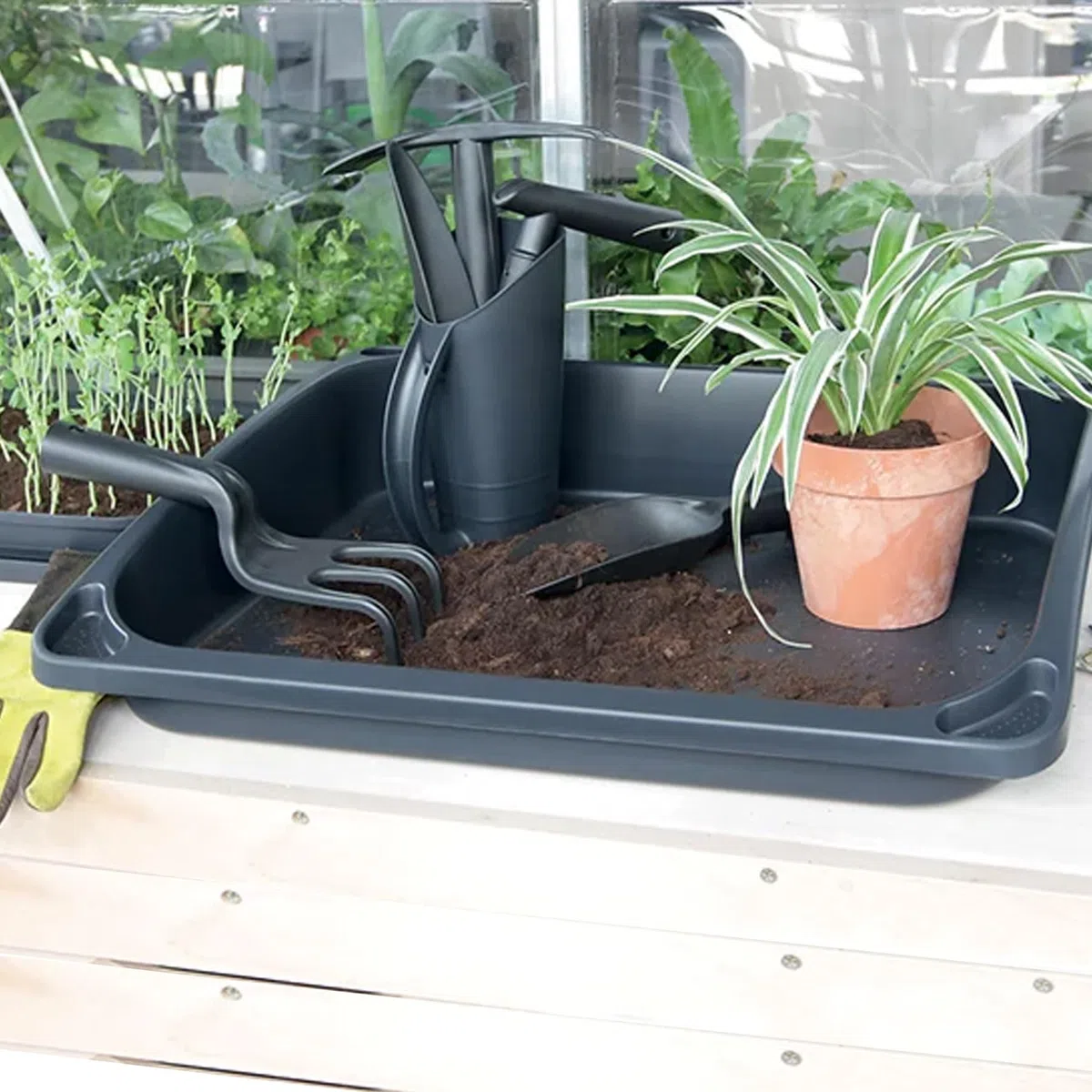 Prosperplast Mini szklarnia pokojowa, zestaw 14 w 1, z tworzywa sztucznego, odporna na działanie promieni UV, antracyt, przezroczysta, 57,6 x 46 x 19 cm (szer. x dł. x wys.)