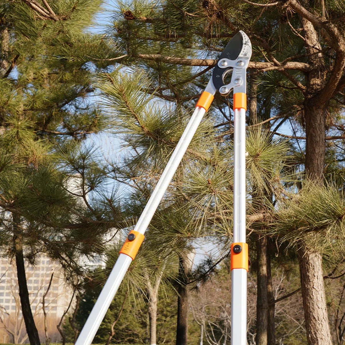 Nożyce ogrodowe Nożyce Teleskopowe Z Długą Rączką | Sekator obejściowy ogrodowy Do Drzew, Żywopłotów, Kwiatów, Bonsai, Winorośli, Krzewów, Na Zewnątrz, Podwórza, Patio, Ganku,