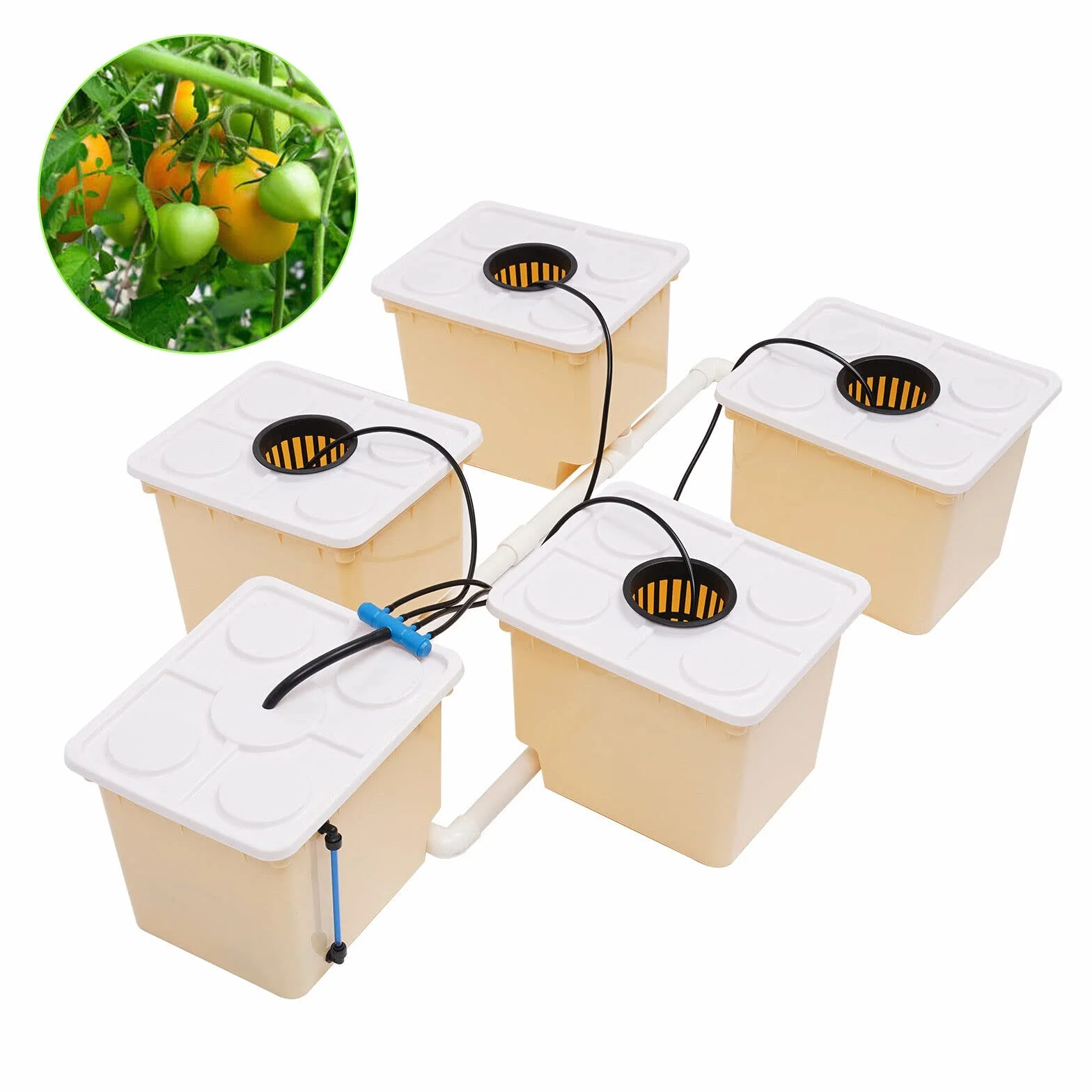 Hydroponiczny system do uprawy w głębokiej wodzie