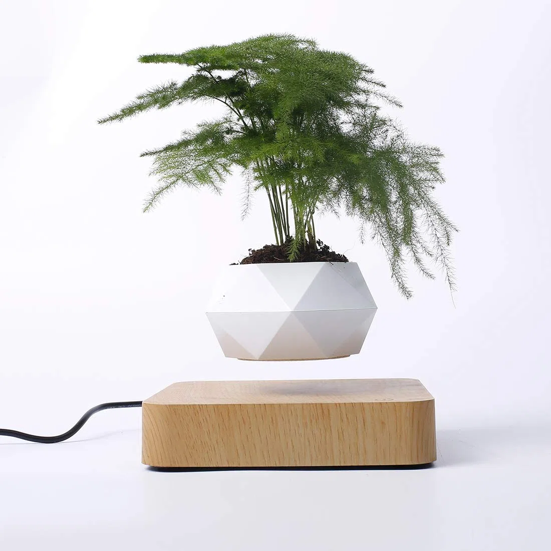 Lewitująca magnetyczna doniczka na doniczkę bonsai, zawieszenie, mikro-krajobrazu, do domu, biura, jako prezent na Dzień Ojca, naturalna
