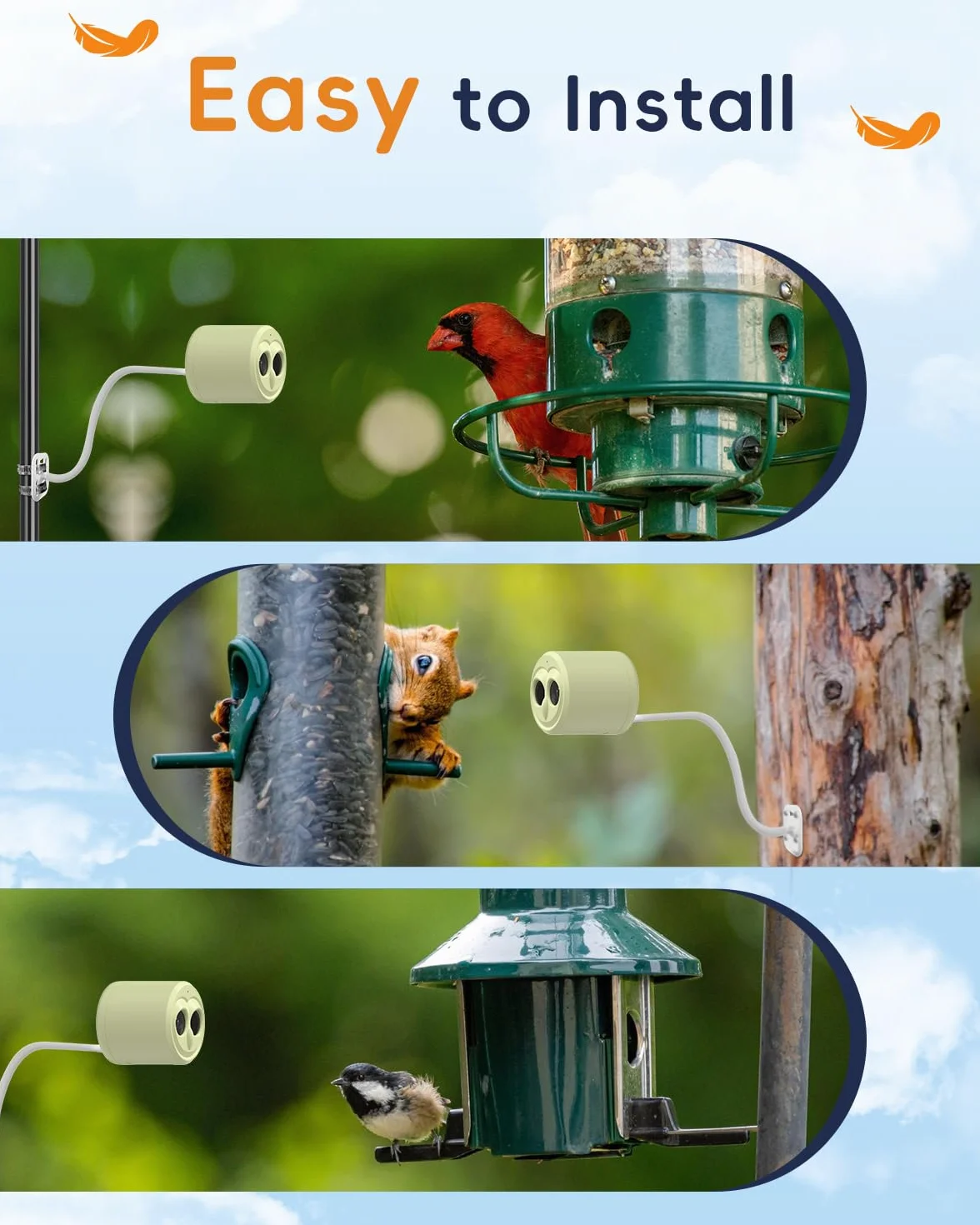 Kamera do obserwacji ptaków 5G, Hibird Smart AI identyfikuje i automatycznie przechwytuje ponad 10000 gatunków ptaków IP66 Mini bezprzewodowa kamera do obserwacji z panelem słonecznym, dla miłośników