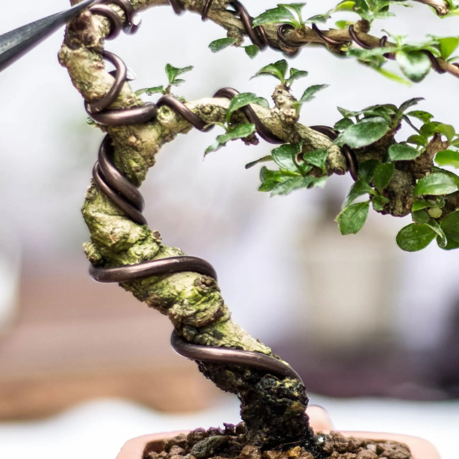 PATIKIL 5 mm x 15 stóp drut treningowy do bonsai, łodygi z drutu kwiatowego anodyzowane aluminiowe do mocowania gałęzi ogrodowych, brązowy