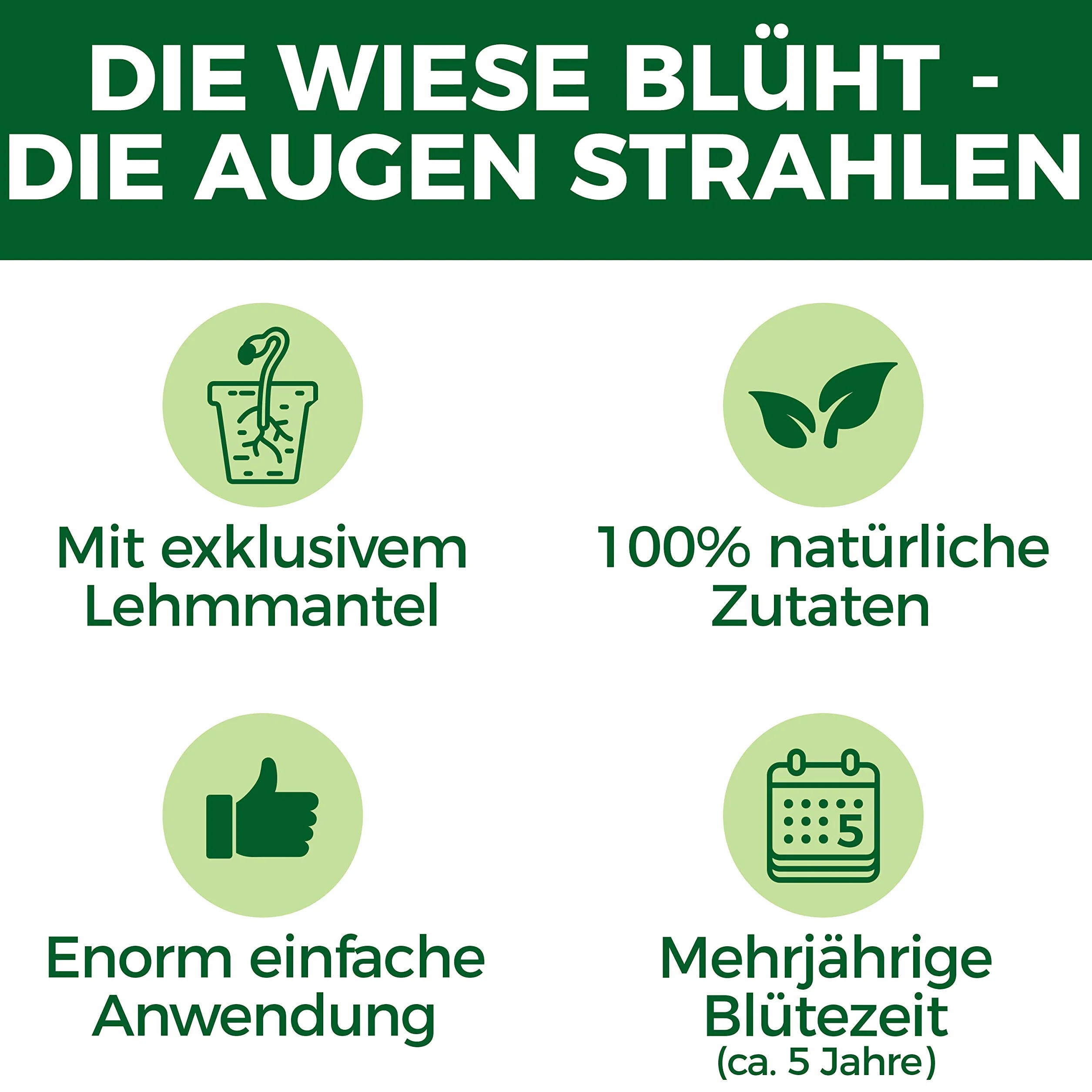 Nasiona kwiatów polnych, wieloletnie i odporne - 1200g nasion pastwiska dla pszczół w glinianej otoczce z Niemiec - 100% naturalne nasiona kwiatów