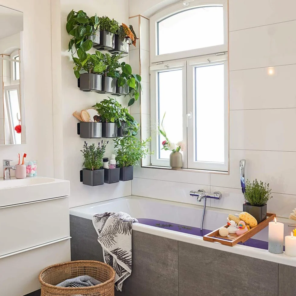Lechuza Donica, System Nawadniania, Cube Glossy Green Wall Home Kit, Antracyt Optymalny Połysk, 13524