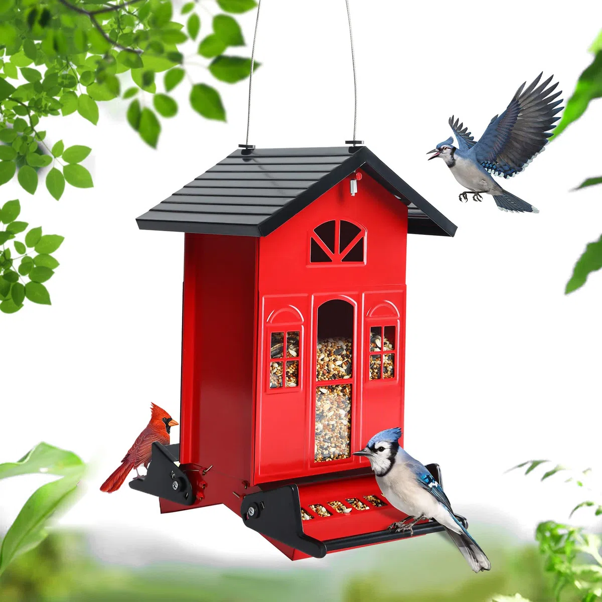 Birdkiss Karmnik dla ptaków, czerwony