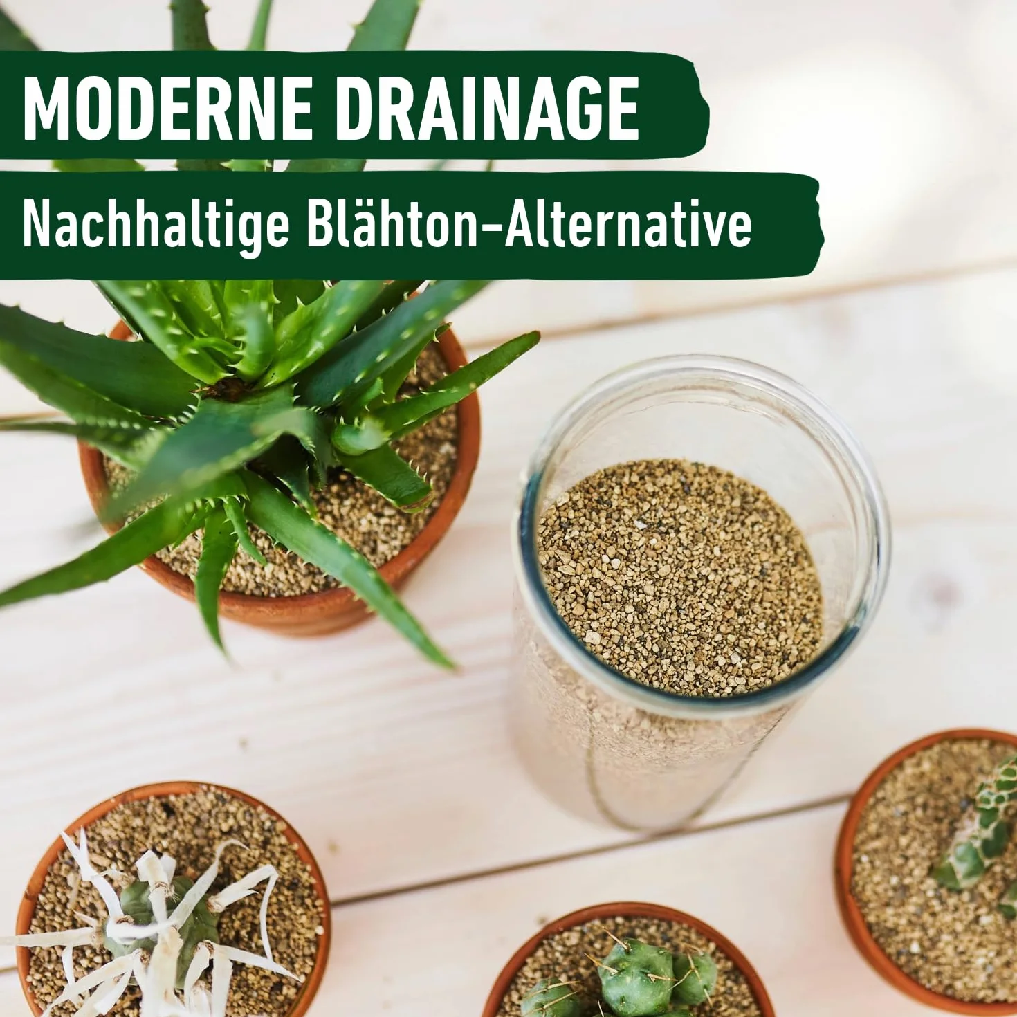 COMPO Bio GRANUPLANT® granulat do roślin kaktusów, 6 l, szary/beżowy