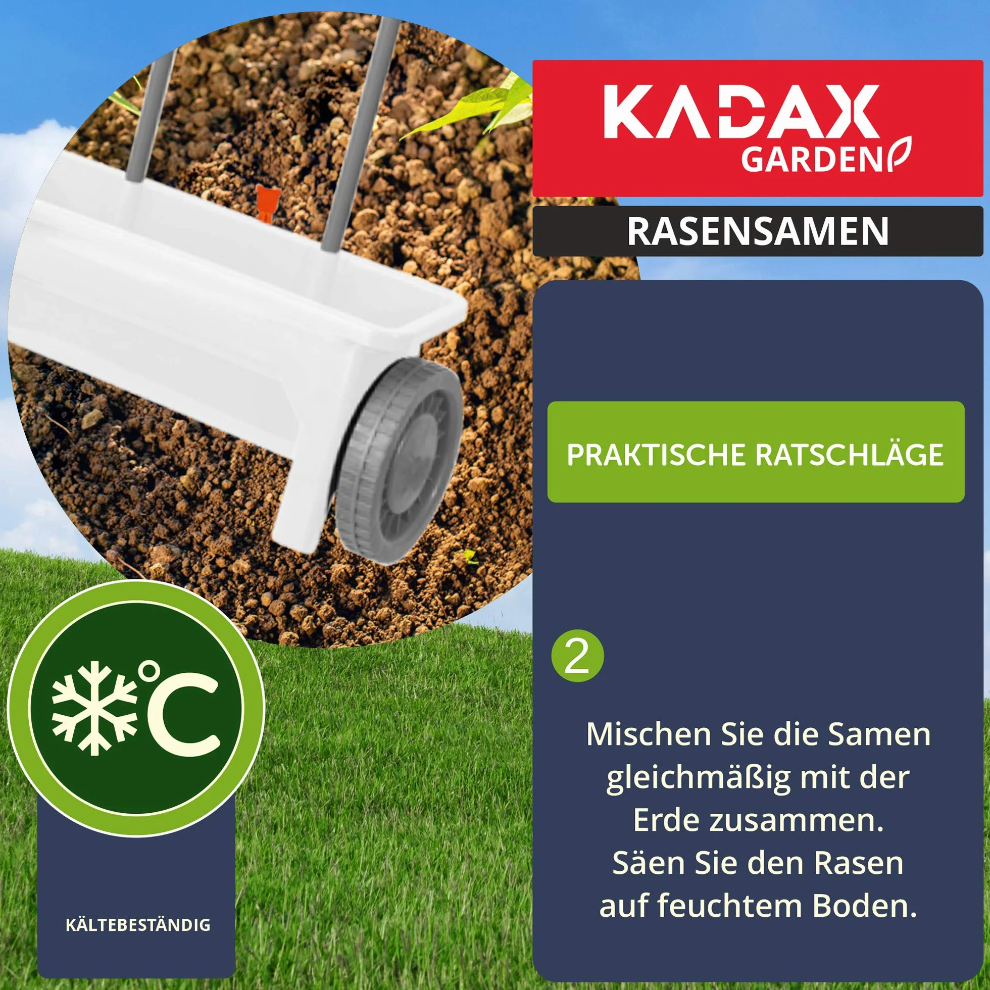 KADAX Trawa ozdobna, 600 m², nasiona trawy ozdobnej, mieszanka nasion trawy, nasiona trawy, nasiona efektywne, mieszanka nasion trawy, trawa, mieszanka nasion (15 kg)