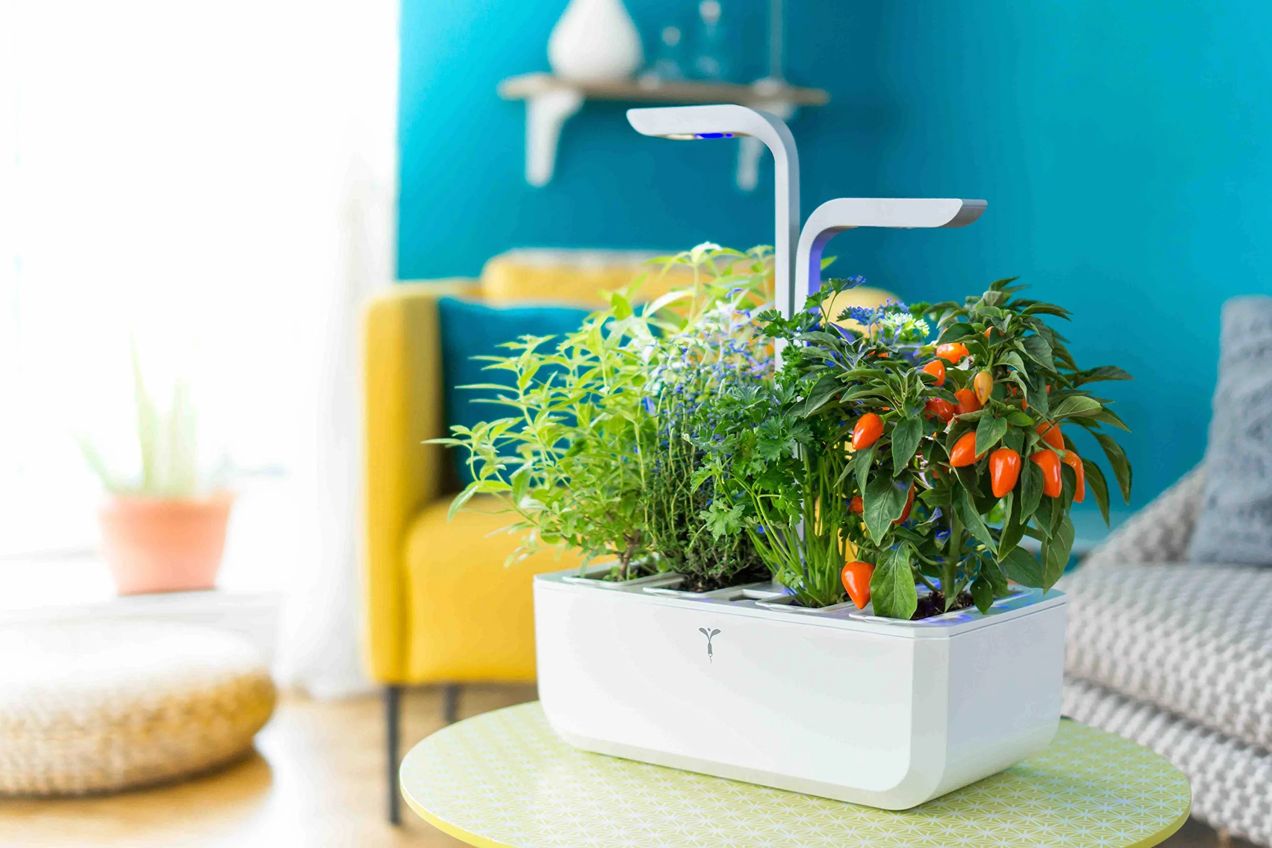 Véritable® SMART Arctic White - Technologia ADAPT 'LIGHT - Wewnętrzny ogród warzywny Made in France - - Inteligentny ogród autonomiczny dostarczany z 4 wkładami roślinnymi Lingots®