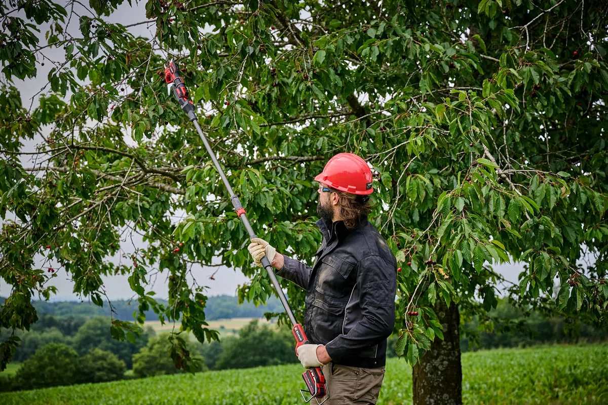 Oryginalny uchwyt teleskopowy Einhell do sekatora (akcesoria do nożyc akumulatorowych, GP-LS 18/28 Li BL, regulowana długość 1-1,6 m, maks. wysokość robocza 3,8 m, 7-stopniowa regulacja)