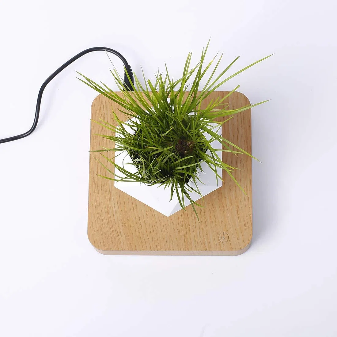 Lewitująca magnetyczna doniczka na doniczkę bonsai, zawieszenie, mikro-krajobrazu, do domu, biura, jako prezent na Dzień Ojca, naturalna