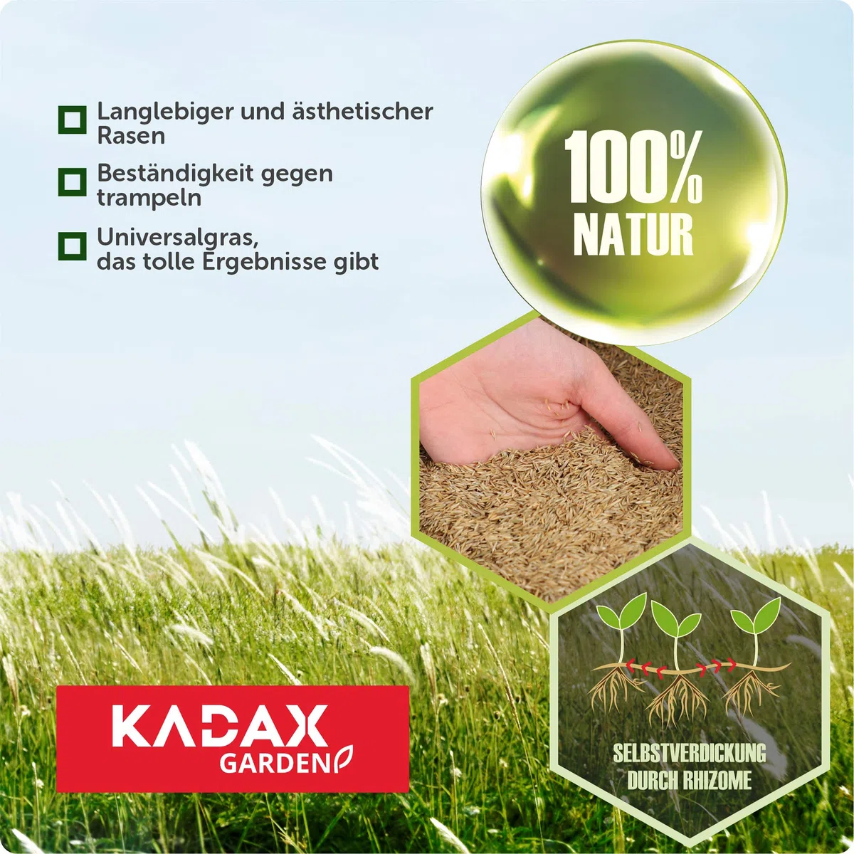 KADAX Trawa ozdobna, 600 m², nasiona trawy ozdobnej, mieszanka nasion trawy, nasiona trawy, nasiona efektywne, mieszanka nasion trawy, trawa, mieszanka nasion (15 kg)