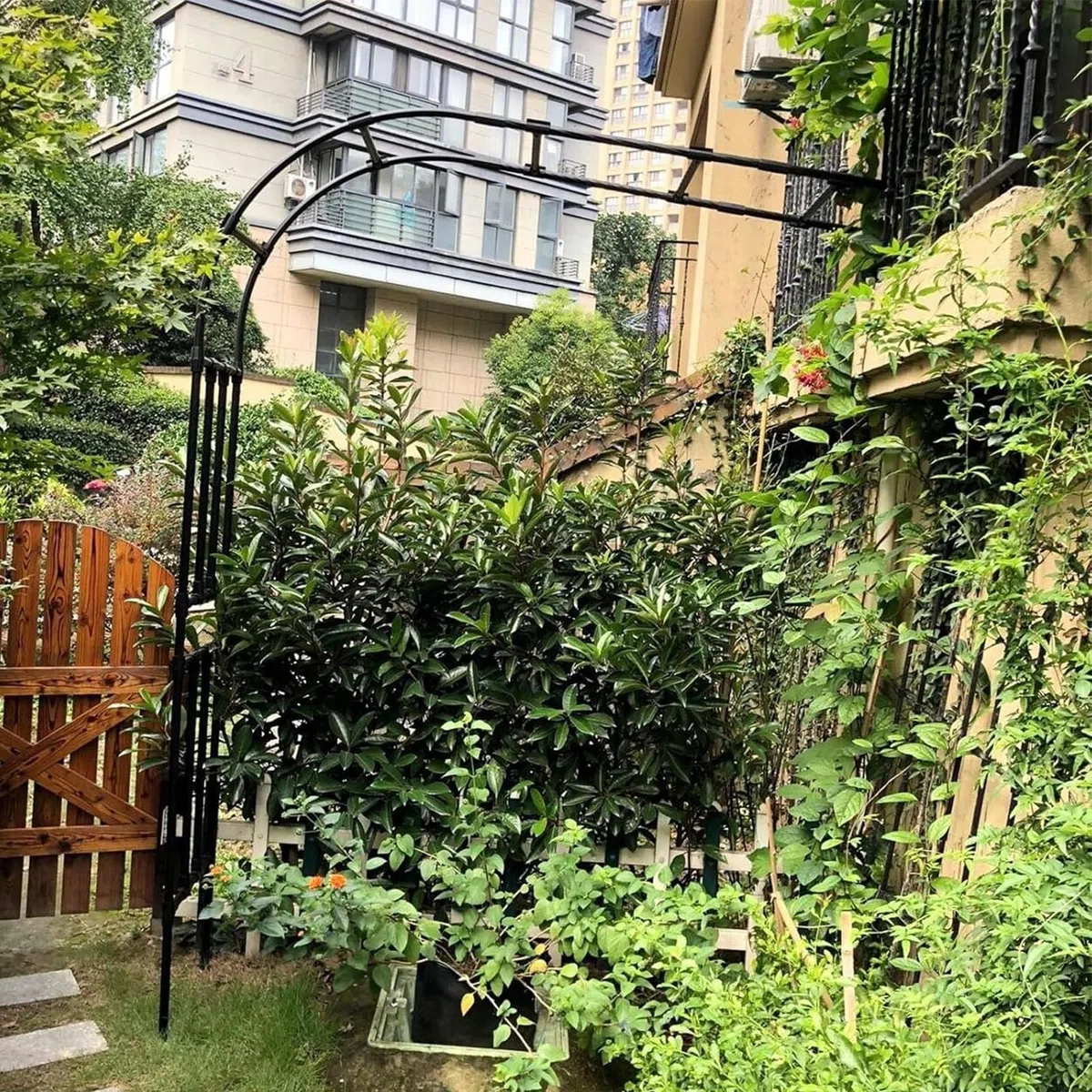 Łuk pergoli ogrodowej, metalowa kratownica różana półfabrykatowa, zewnętrzny stojak powlekany PE do roślin pnących i winorośli, 1,5 m x 0,4 m x 2,4 m, wytrzymała konstrukcja dla łuku d