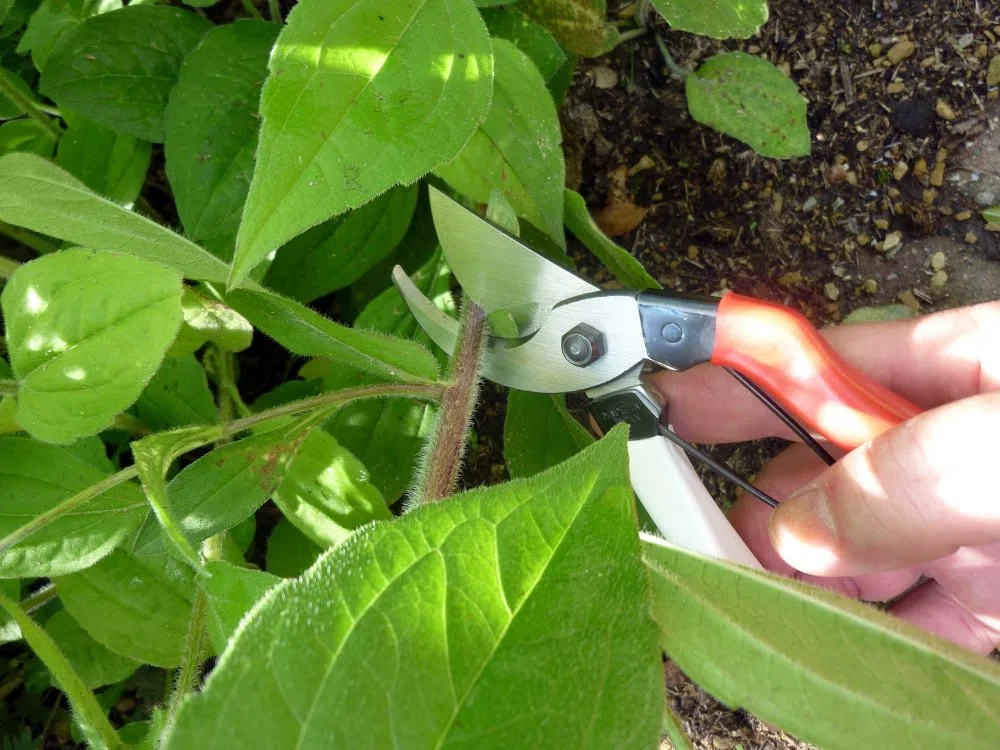 Okatsune 103 Bypass Secateurs