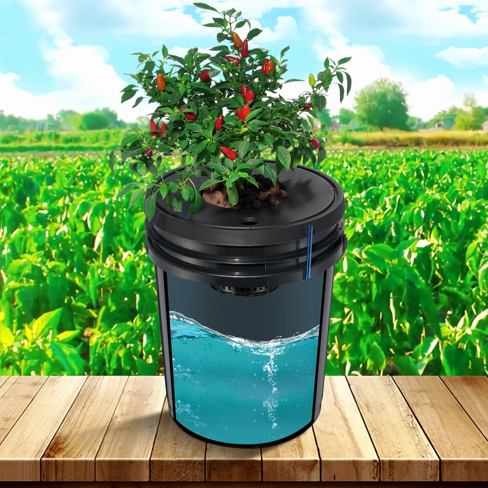 VEVOR Hydroponiczny system uprawy DWC, zestaw do uprawy głębokiej wody 20 litrów, pompa powietrza, kamienie porowate, urządzenie poziomu wody, system hydroponiczny, warzywa liściaste
