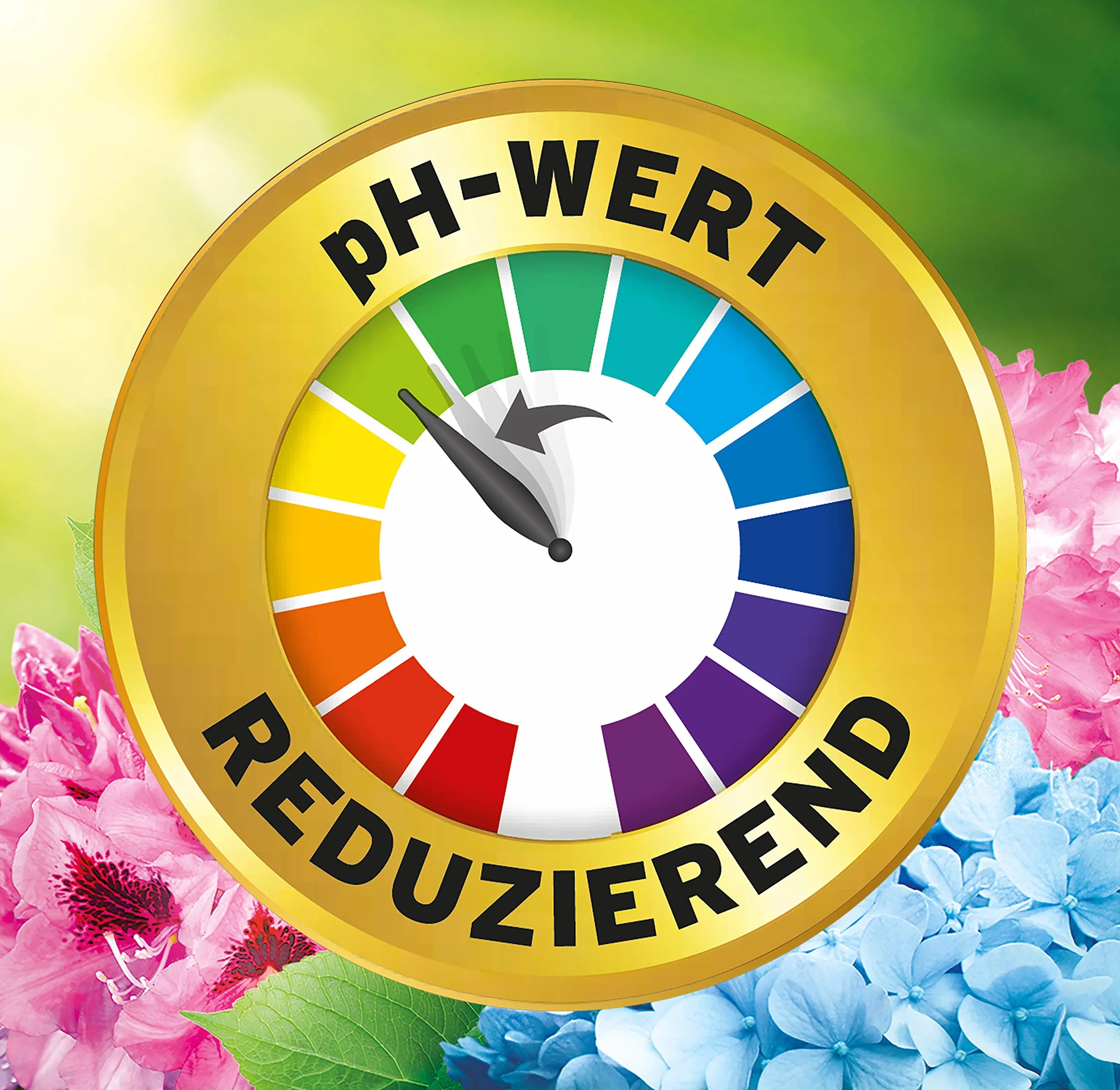 Substral Kuracja podłogowa Rhodo-Vital – 1 kg