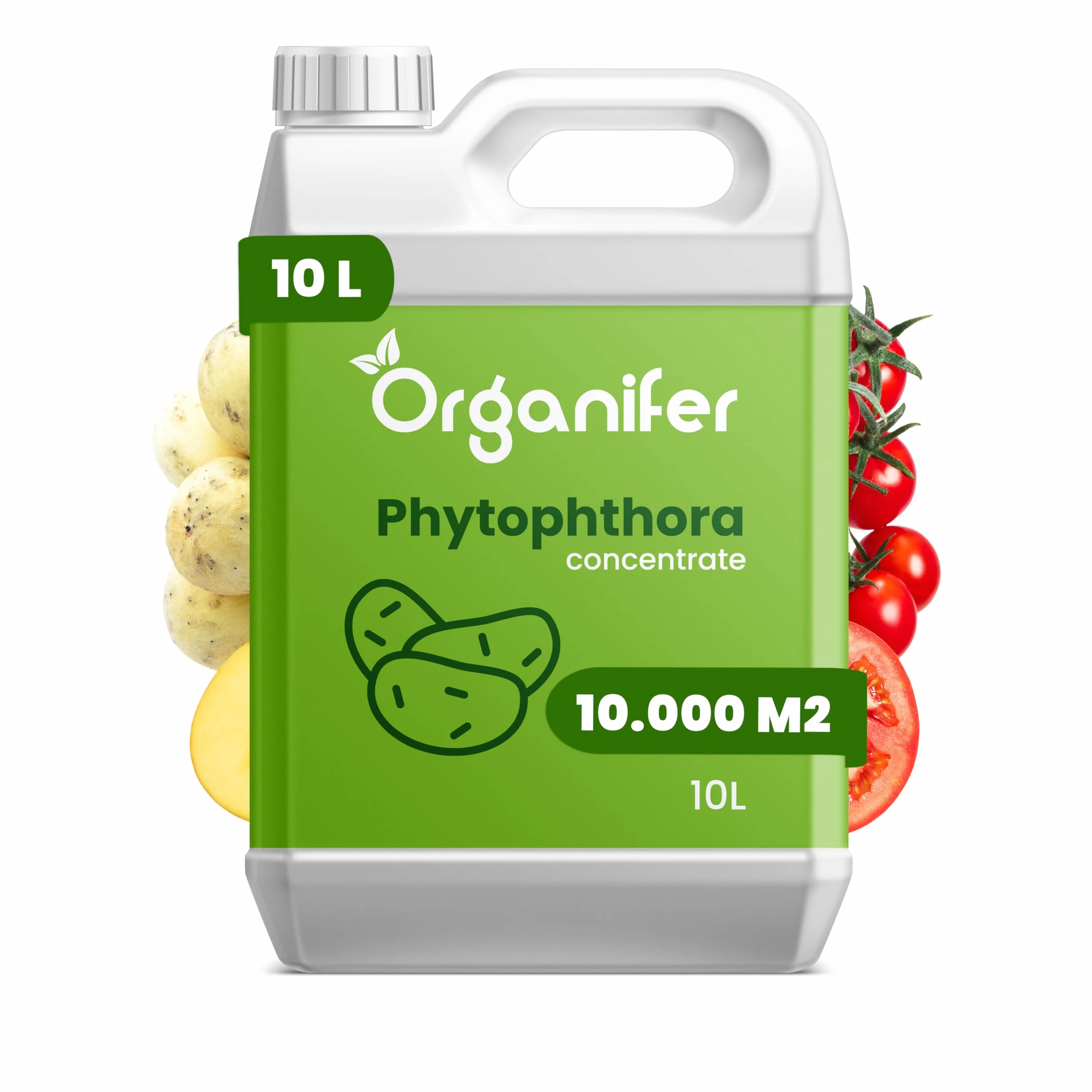 Koncentrat Phytophthora 10 Ml Na 10000 M2 Preparat Do Ziemniaków I Pomidorów Organifer