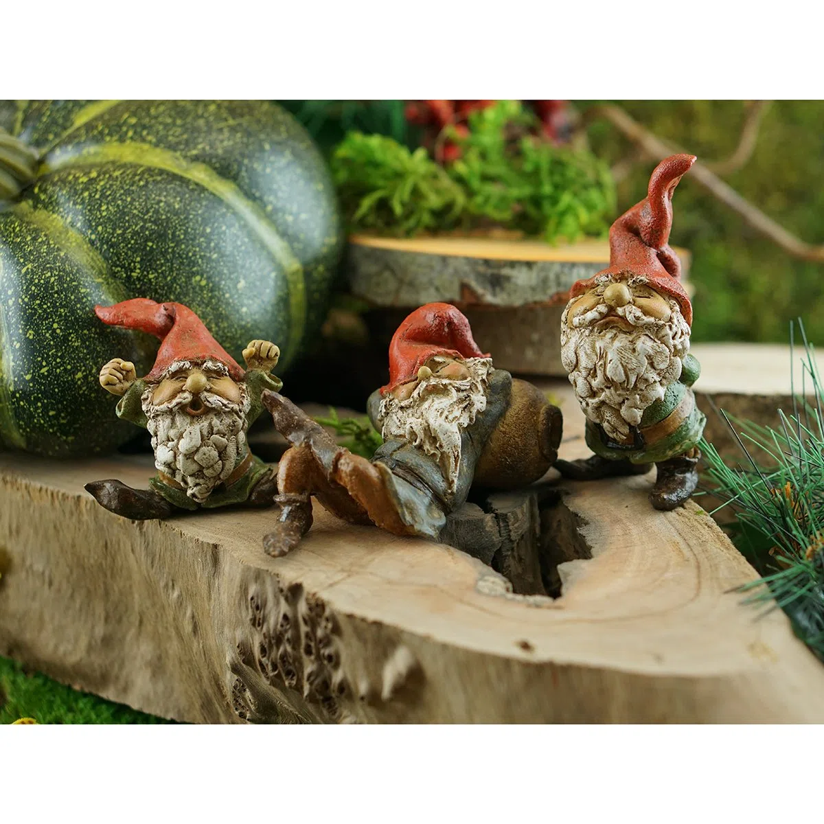 Top Collection Miniaturowy bajkowy ogród i terrarium ogrodowy krasnal statuetka