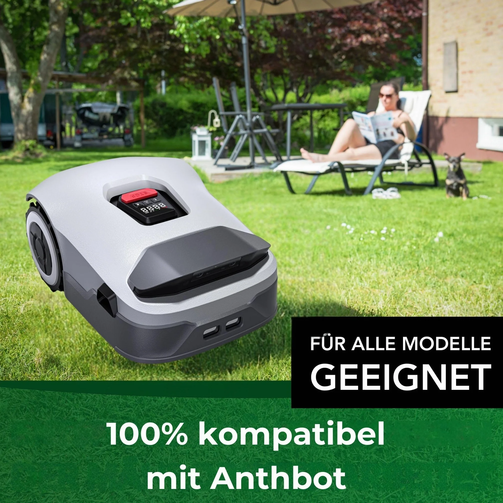 Genisys Tytanowy nóż zastępczy kompatybilny z ostrzami Anthbot Pion Genie – LongLife – 1 otwór odporny na pęknięcia [certyfikat DIN EN 50636]: 30