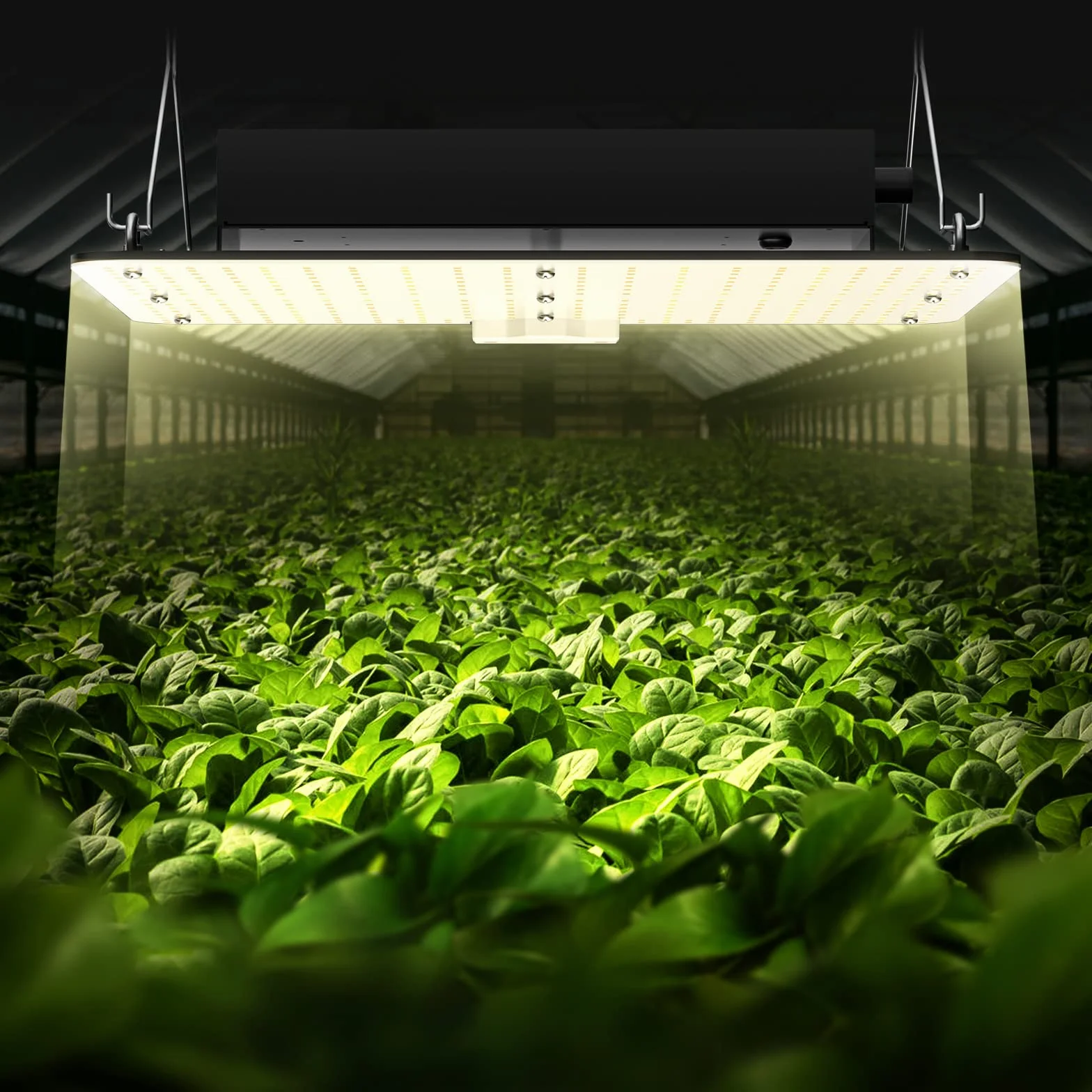 VEVOR Lampa LED do uprawy roślin 150 W kwantowy panel o pełnym spektrum, wysokiej wydajności, wodoodporny IP65, PPFD Samsung 281B Diody