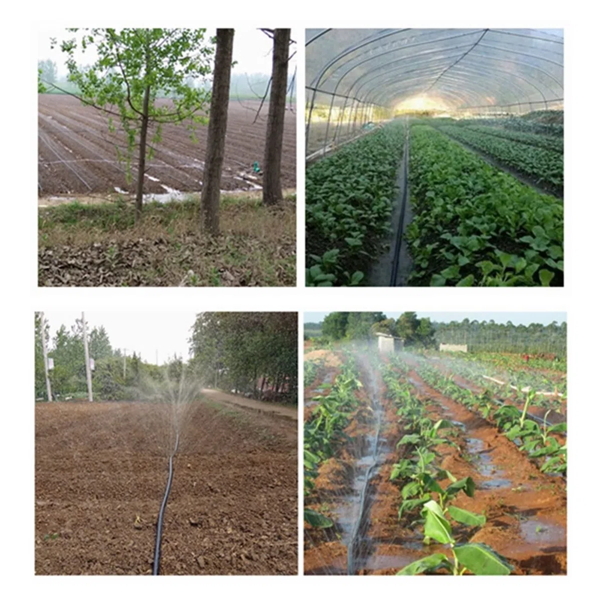 System nawadniania zraszaczy ogrodowych 5 Sztuk/partia 3/4 "-3 cala do 25-90 mm Złącze Irygacja rolnicza Główna rura Oszczędność Złącze Wąż Dropowy Złącze Rury (Color : 2 Inch Female 63mm)