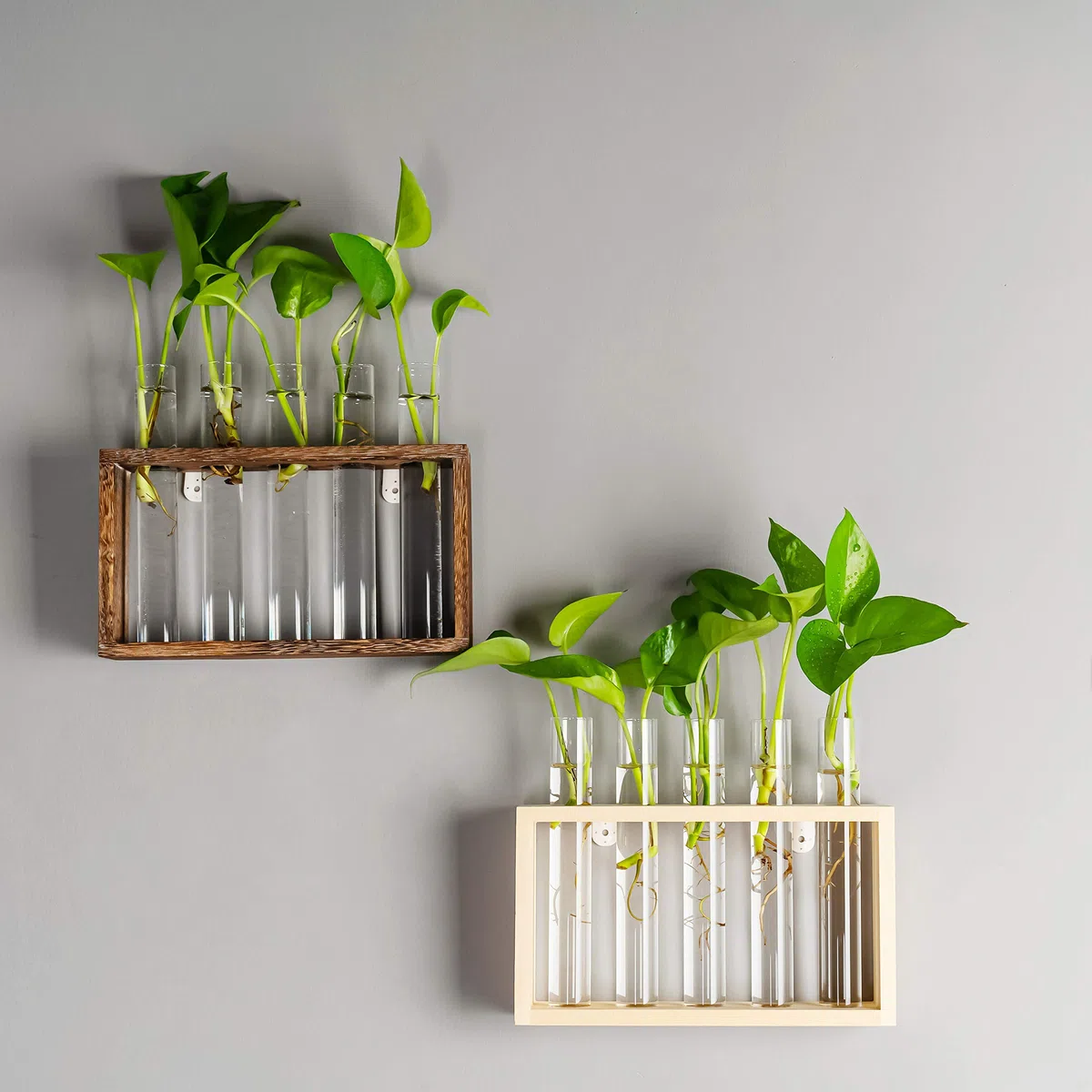 Kingbuy Wisząca szklana stacja do rozmnażania roślin, probówka, wazon, doniczki na kwiaty w stylu vintage, drewniany stojak z 5 akcesoriami do terrarium na parapet, ślub, kuchnia (5 probówek, brązowe drewno)